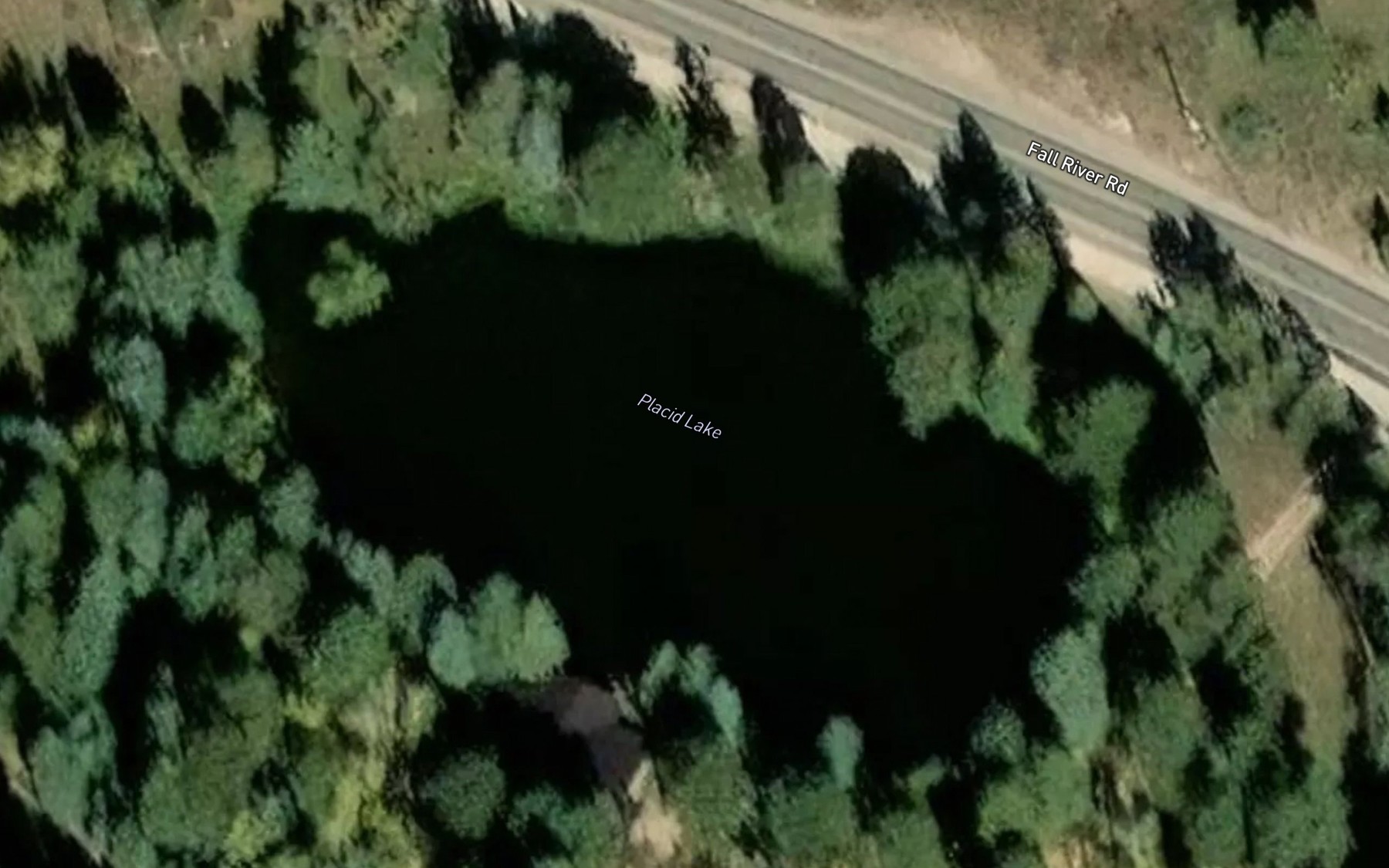 Satellite map of the Placid Lake