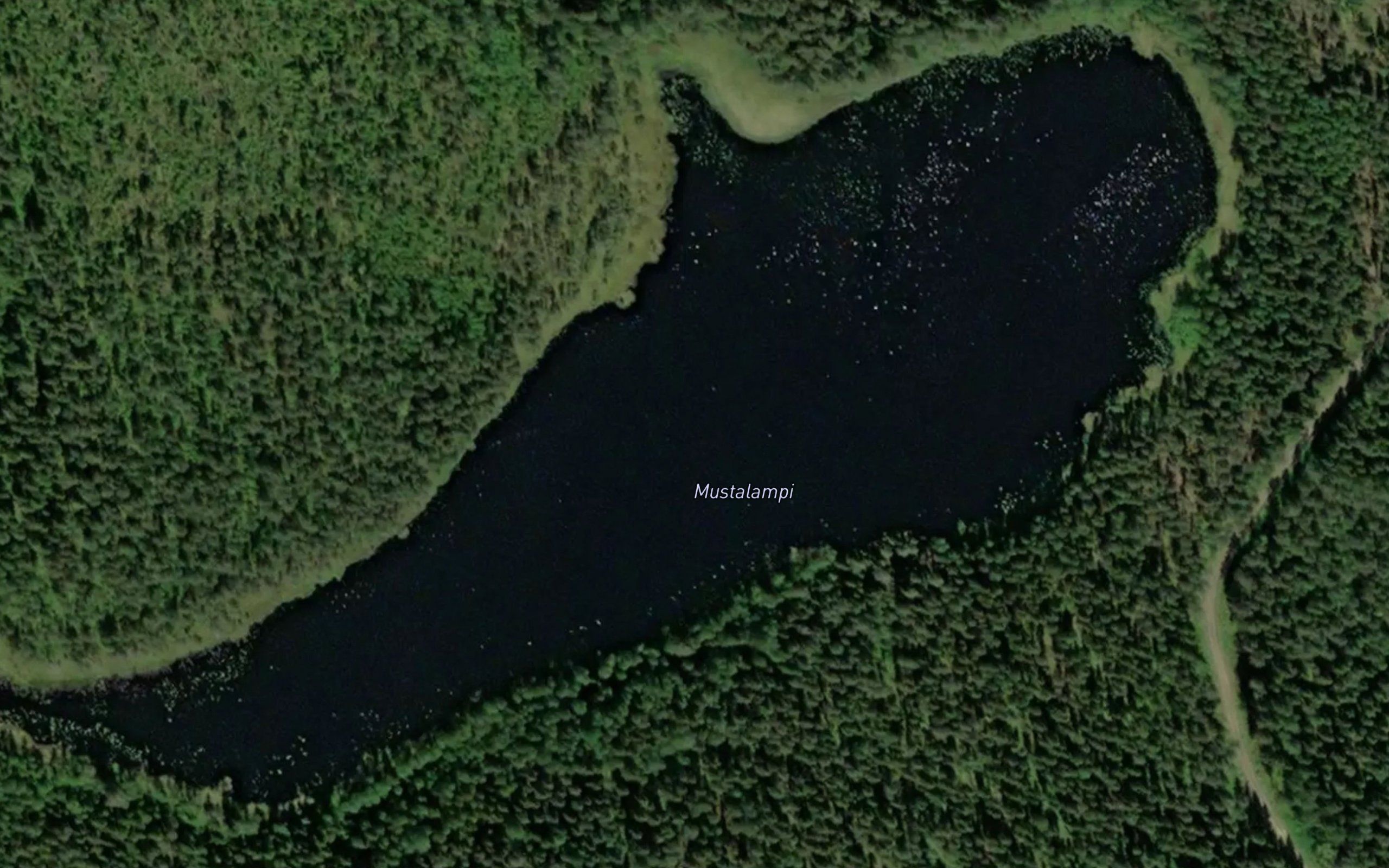 Mustalampi
