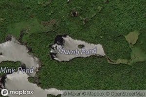 Thumb Pond