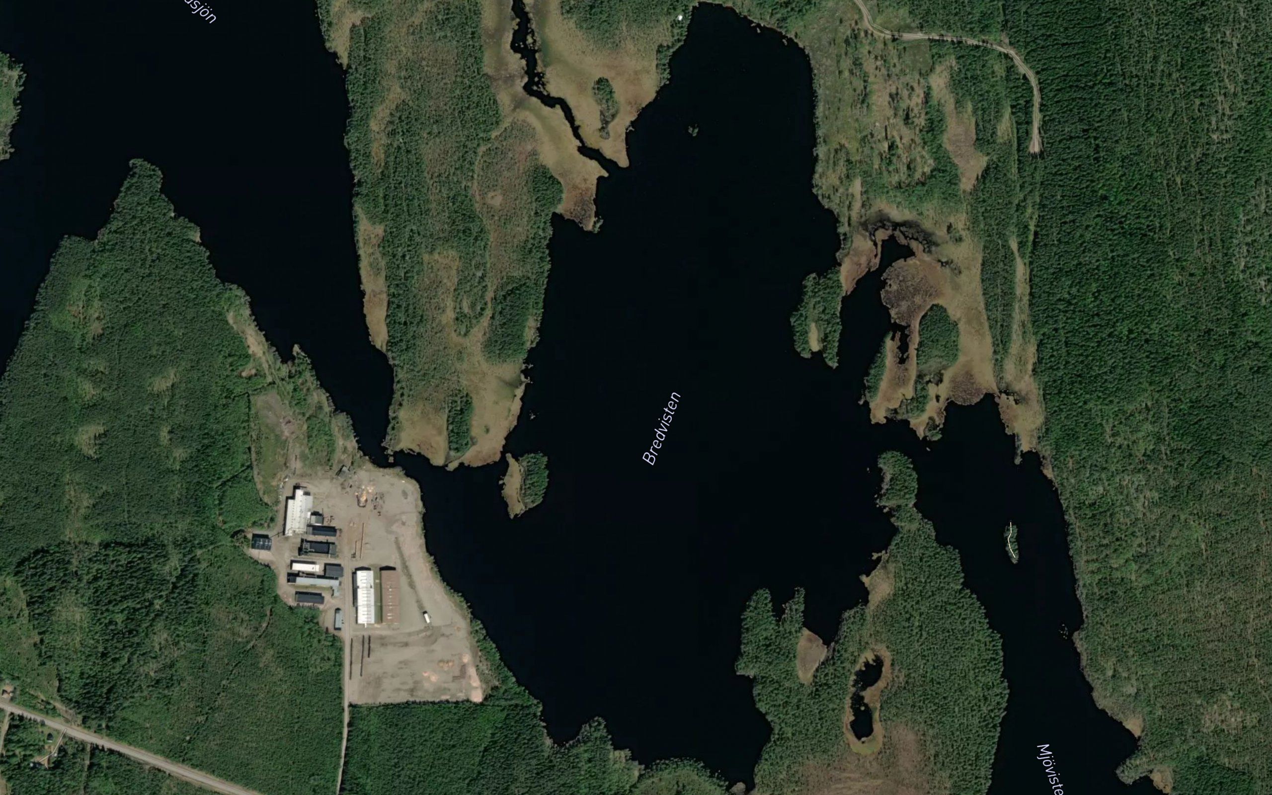 Mjogvisten