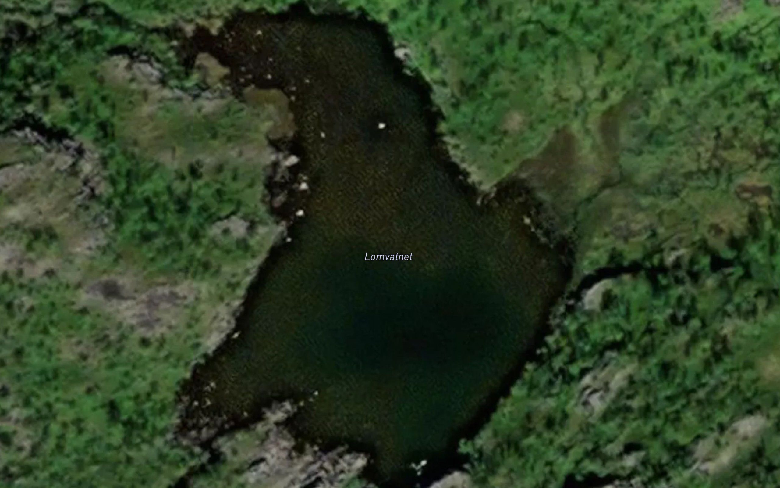 Lomvatnet