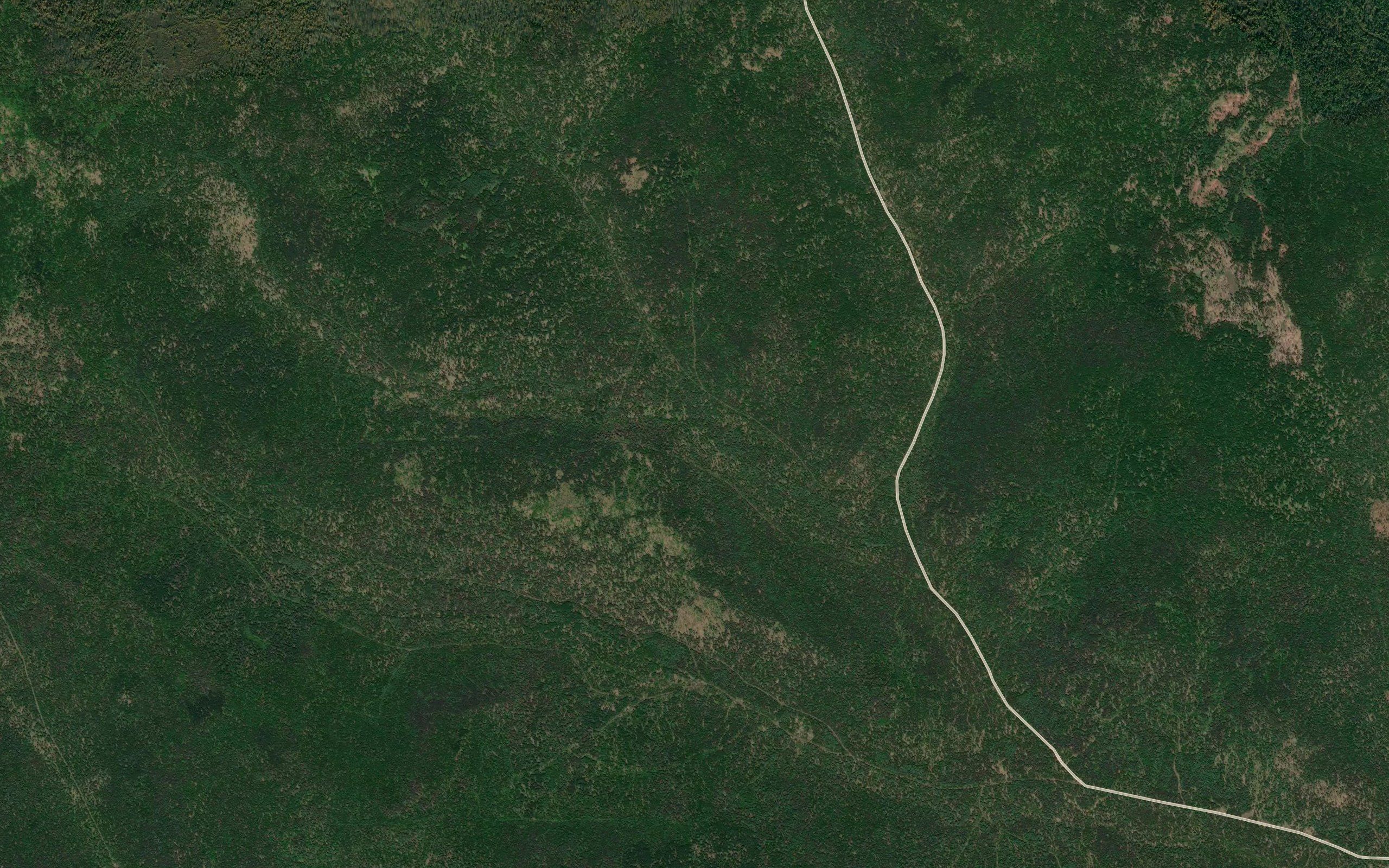 Pad' Aliber