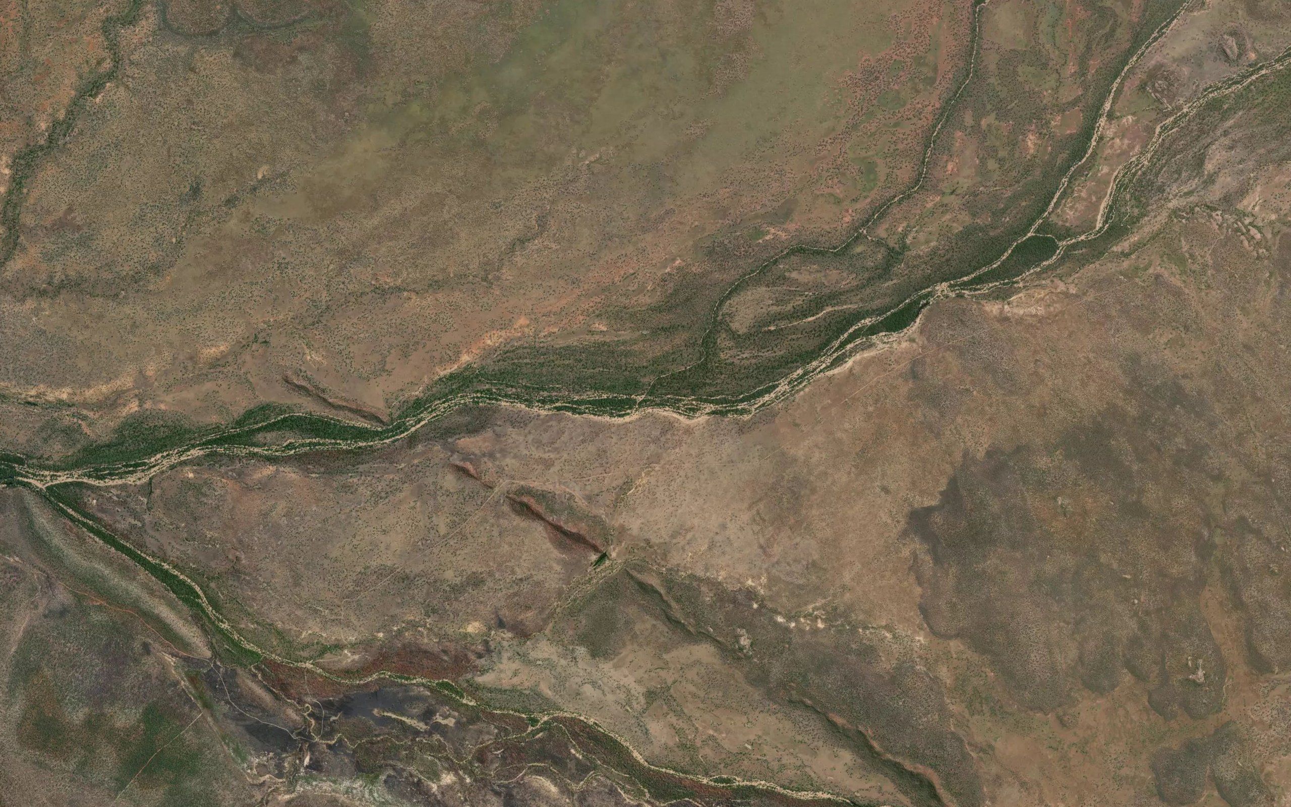 Dingo Creek