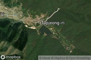 T'apchong-ji