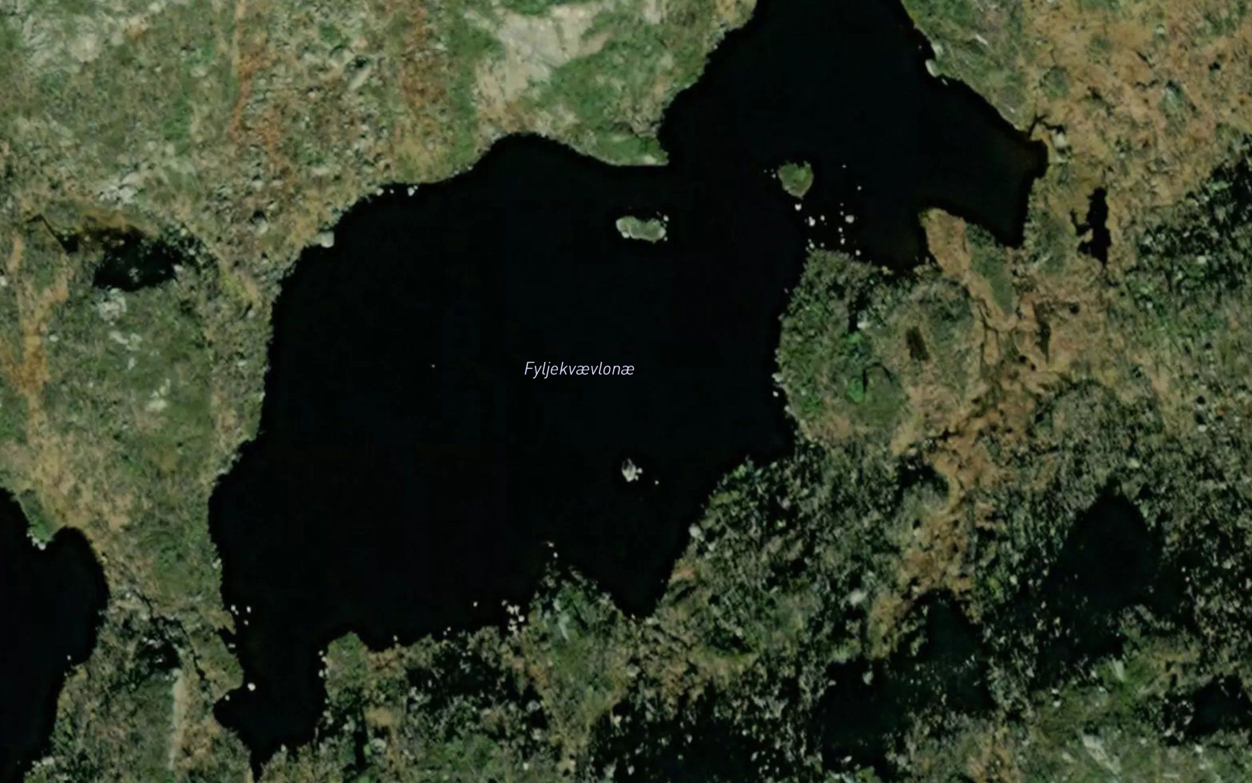 Fyljekvaevlonae