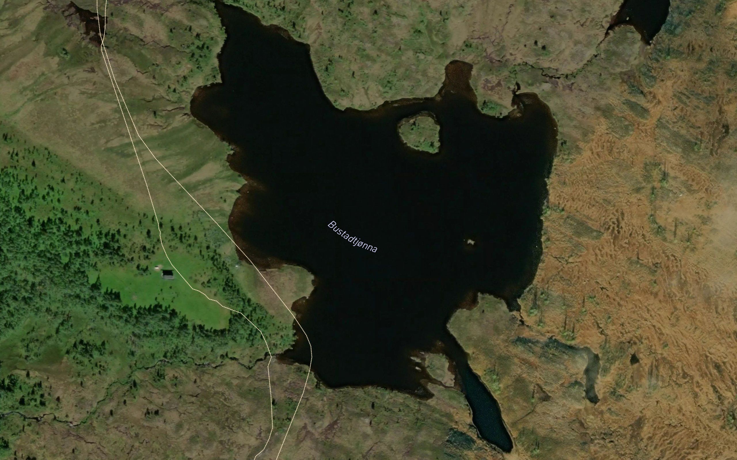 Bustadtjorna