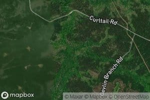 George Devlin Branch