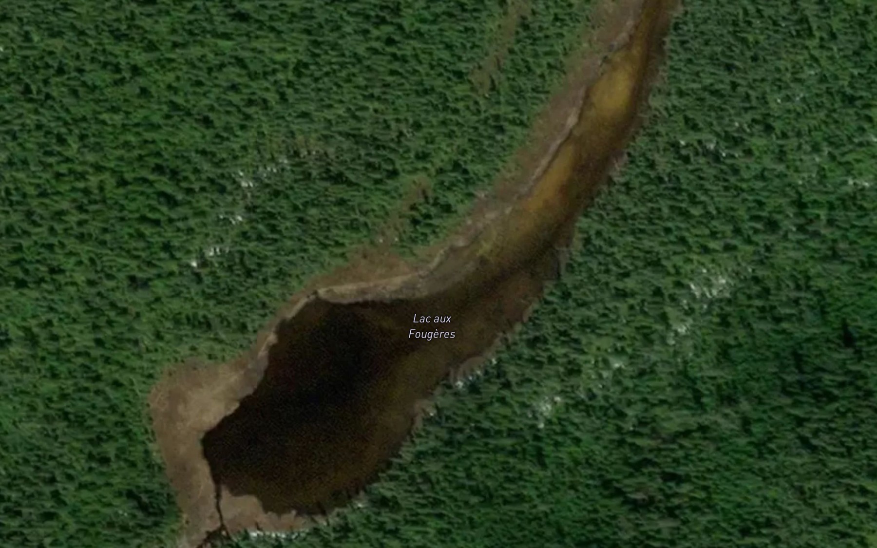 Satellite map of the Lac aux Fougeres