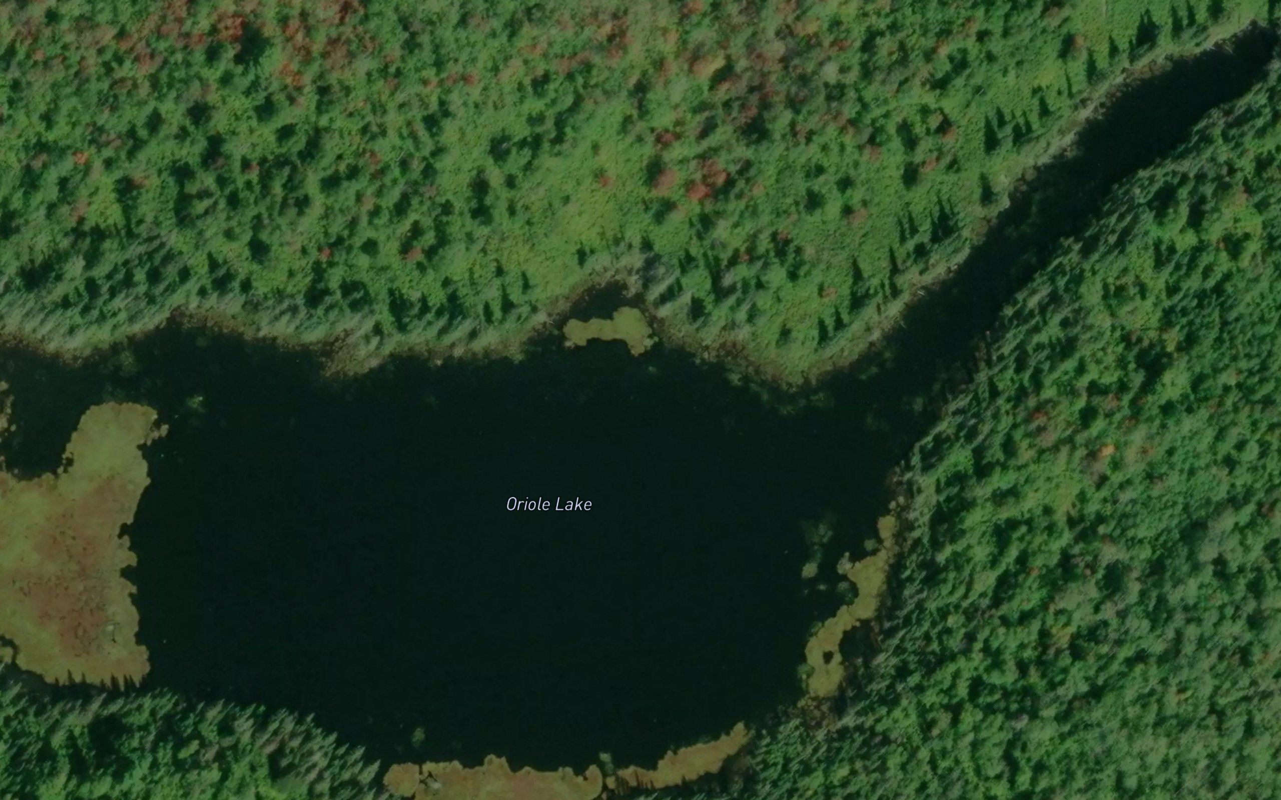 Oriole Lake