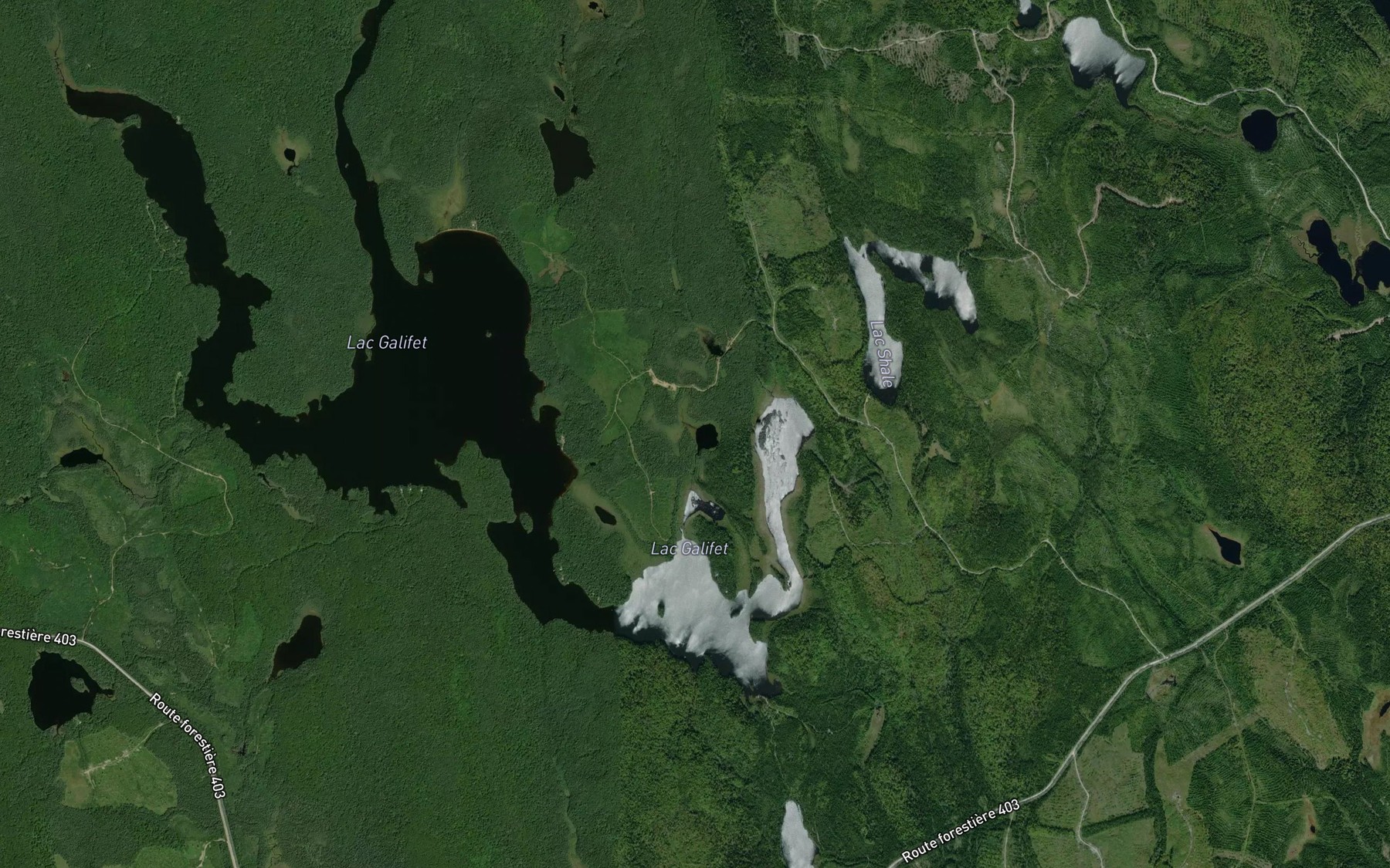 Satellite map of the Lac de la Sendre