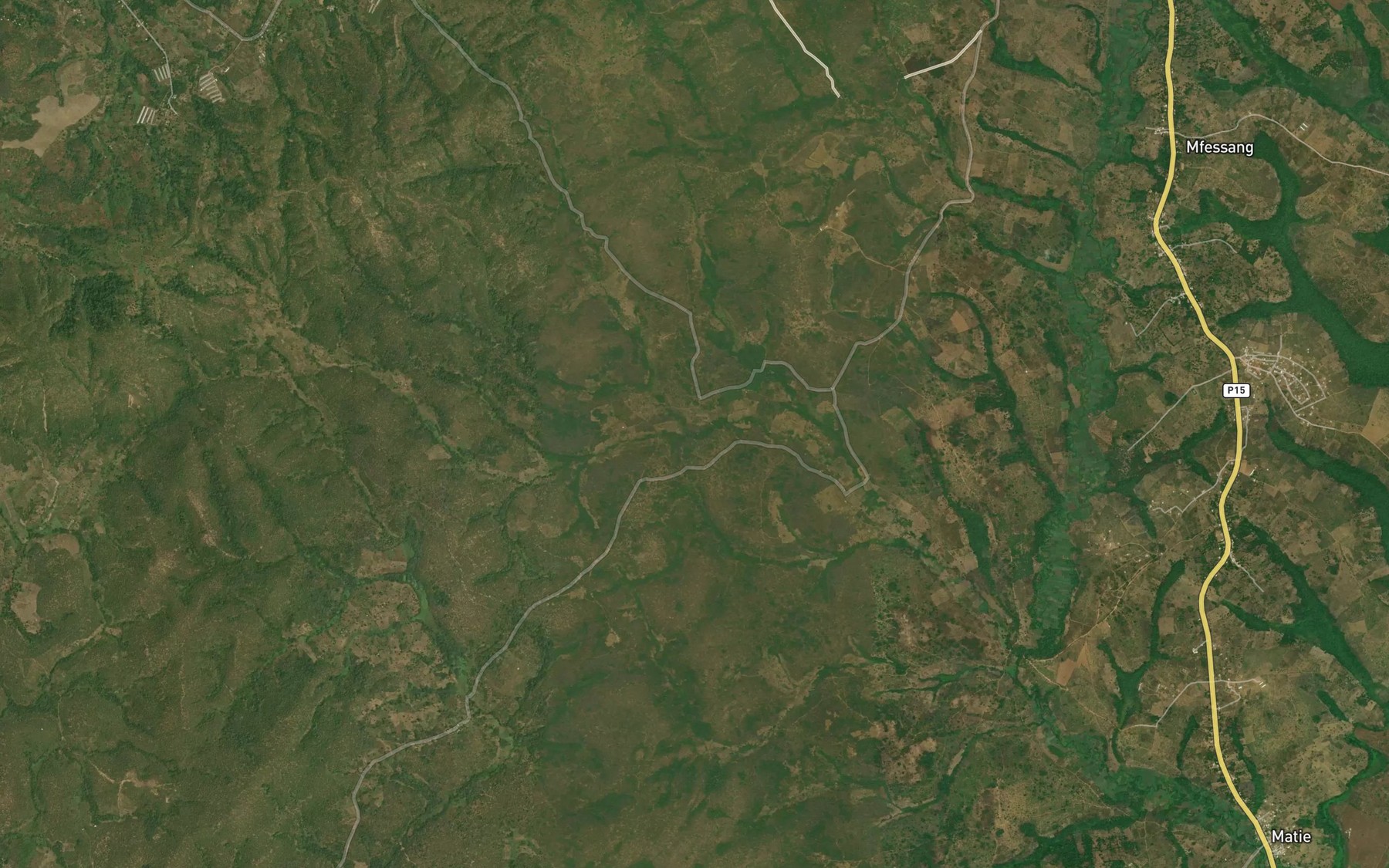 Satellite map of the Panzou