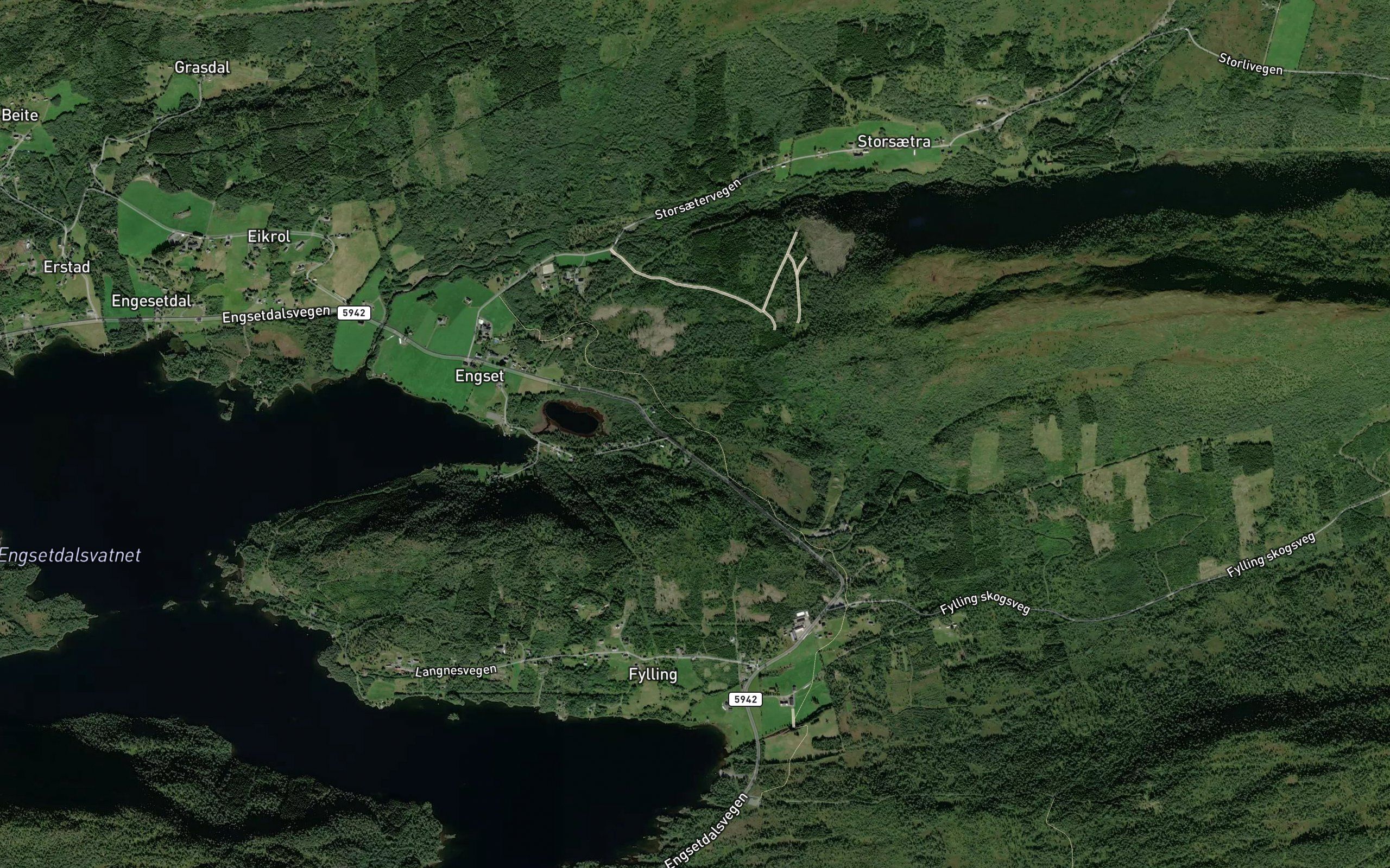 Kasneselva