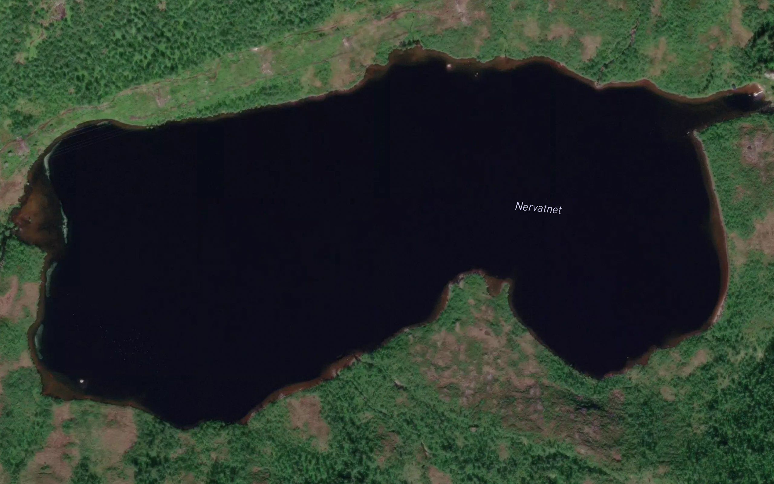 Nervatnet