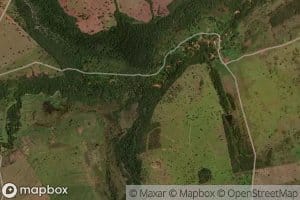 Corrego do Mangue