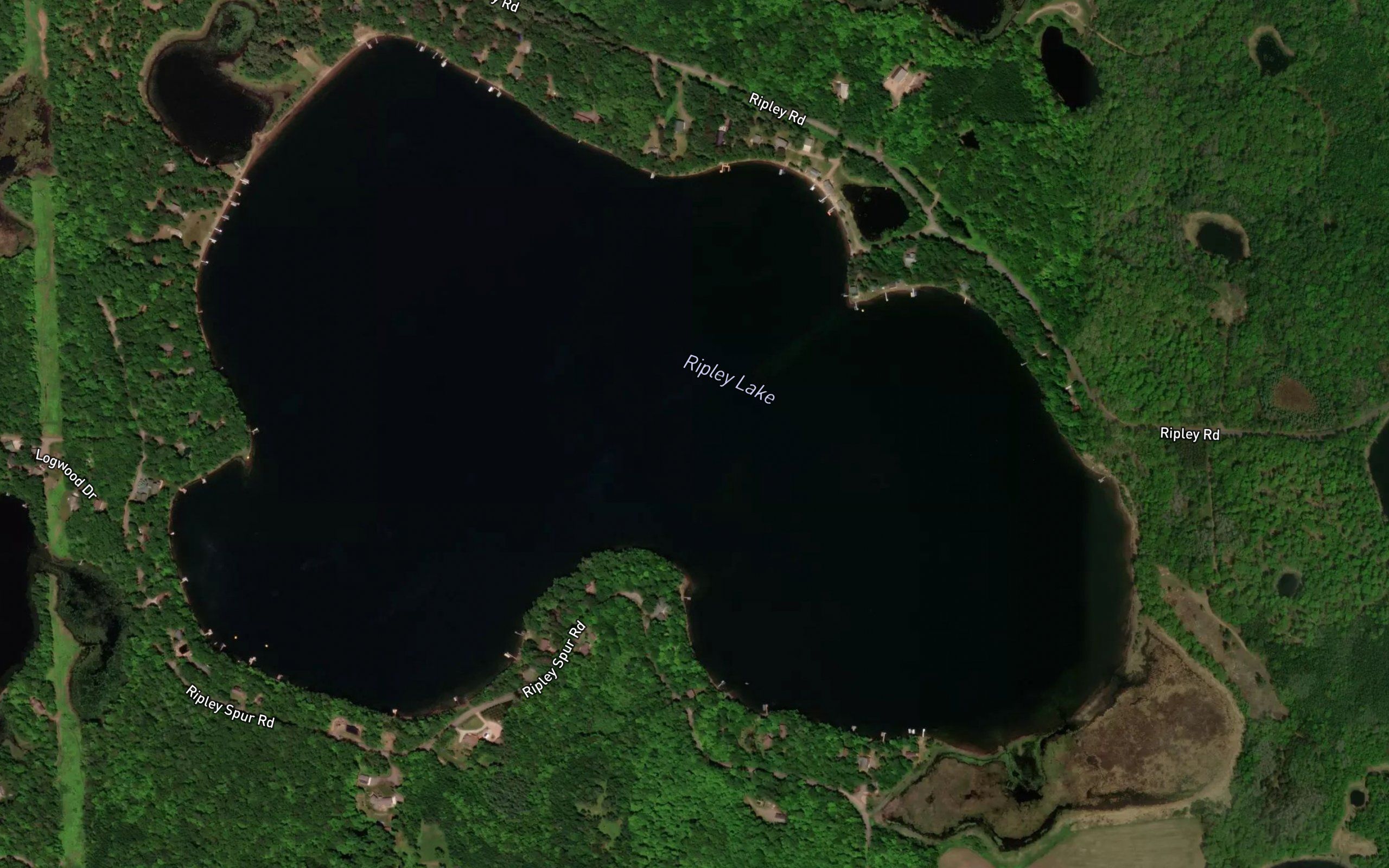 Ripley Lake