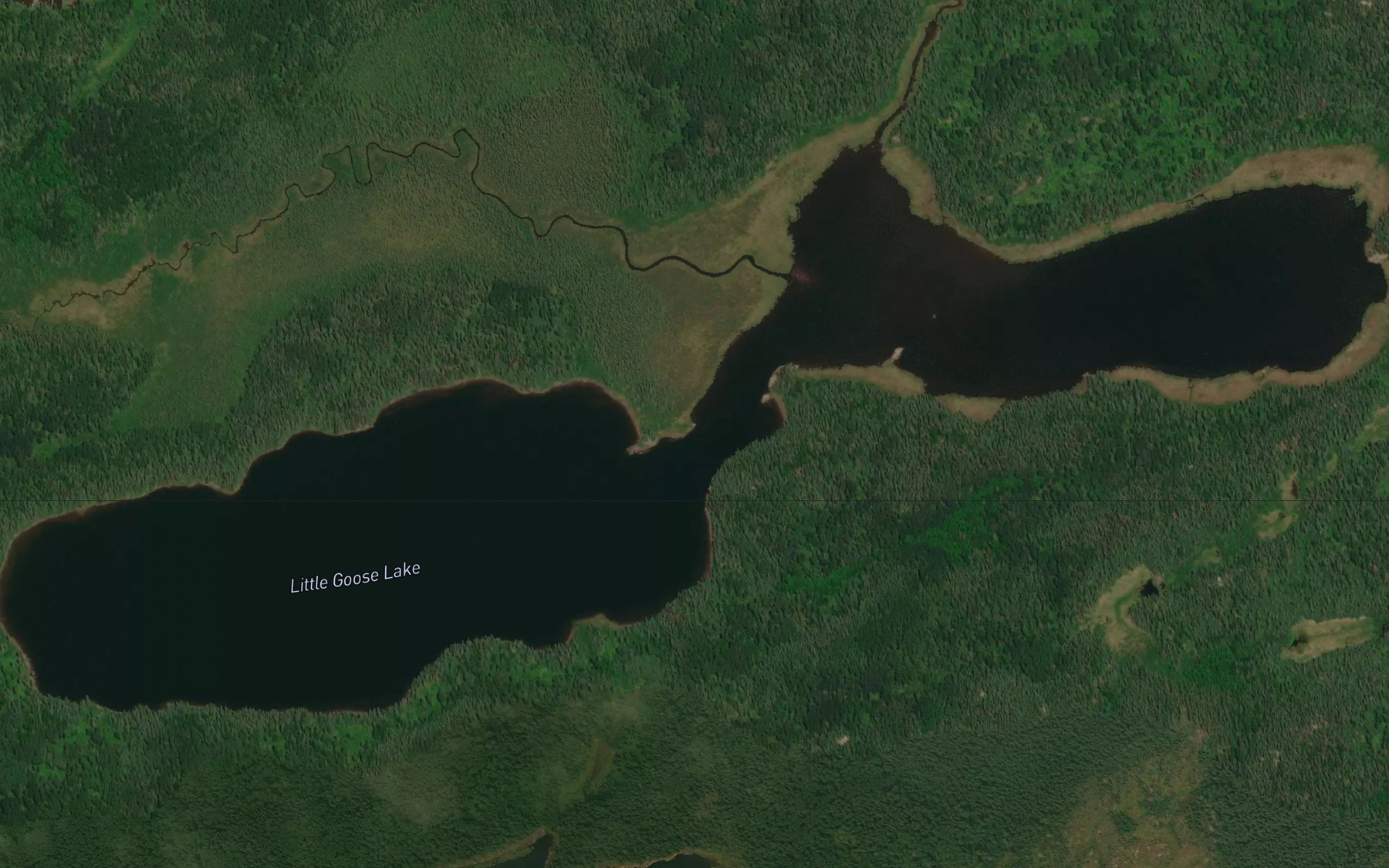 Satellite map of the Little Goose Lake