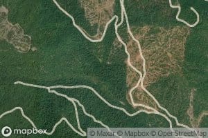 Musty Creek