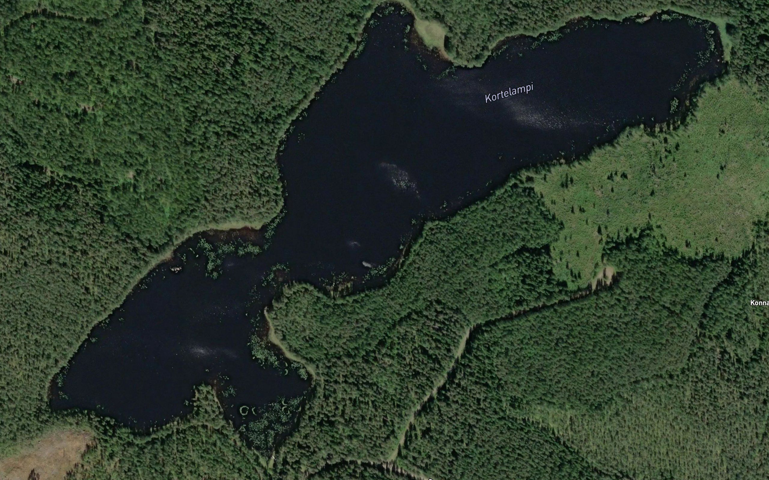 Kortelampi