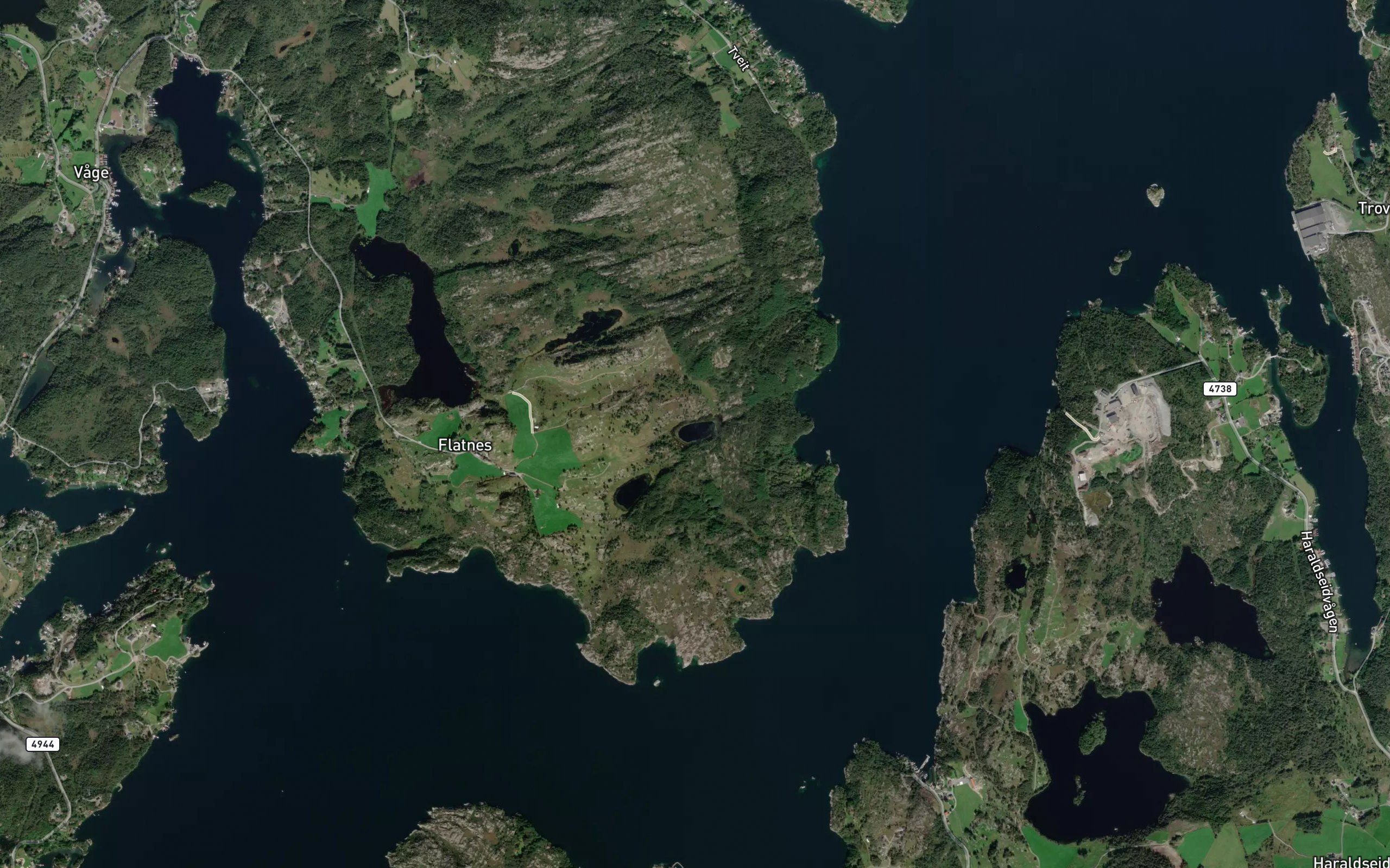 Buaviktjorna