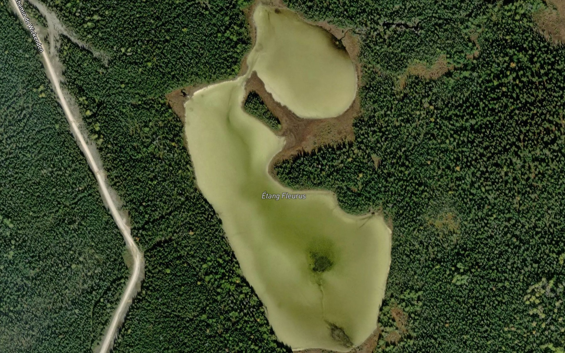 Satellite map of the Etang Fleurus