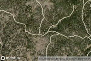 Double Barrel Spring