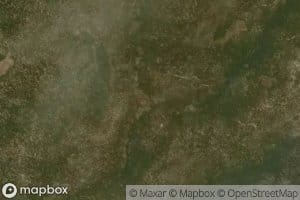 Arroyo Encino Blanco