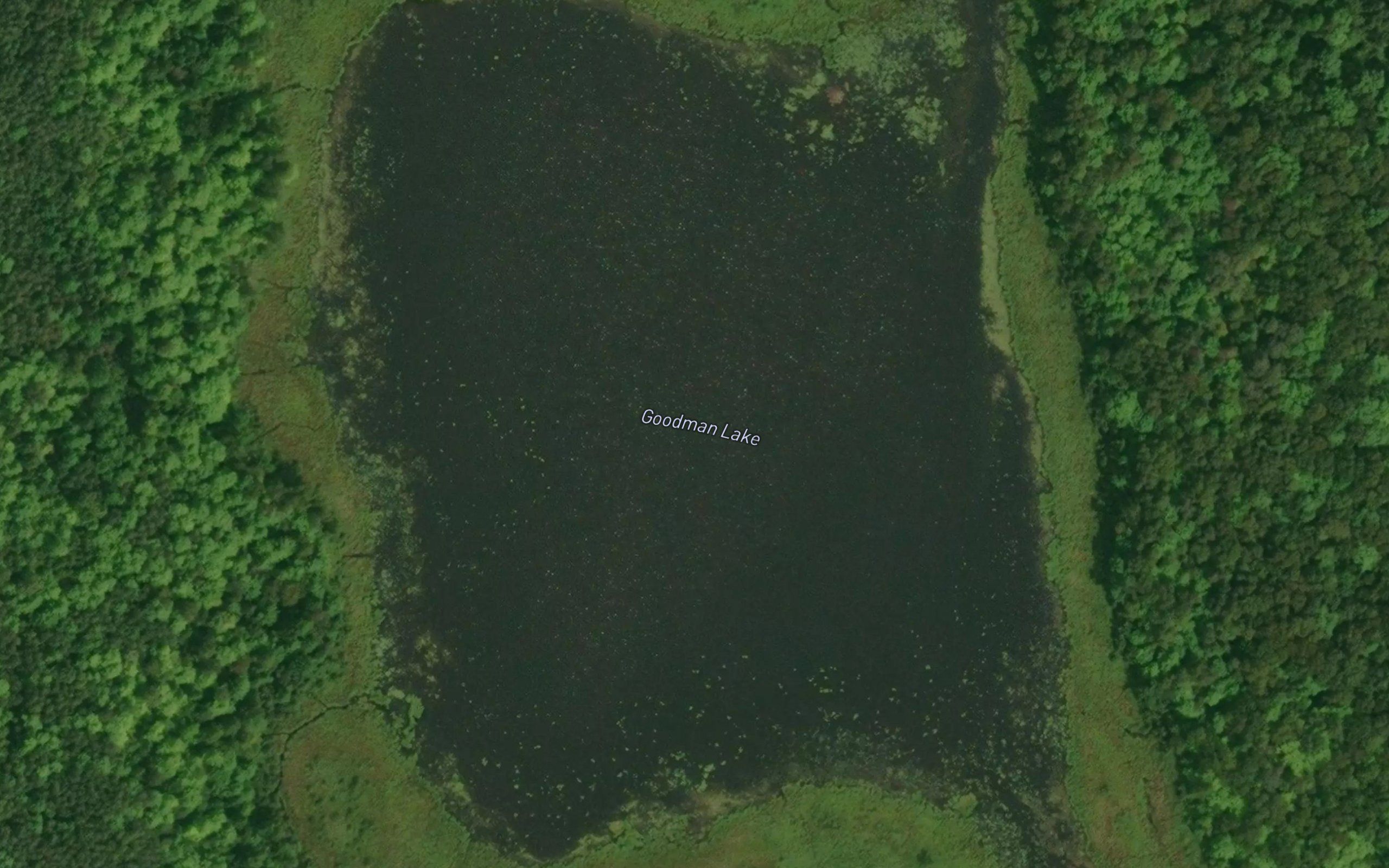 Goodman Lake