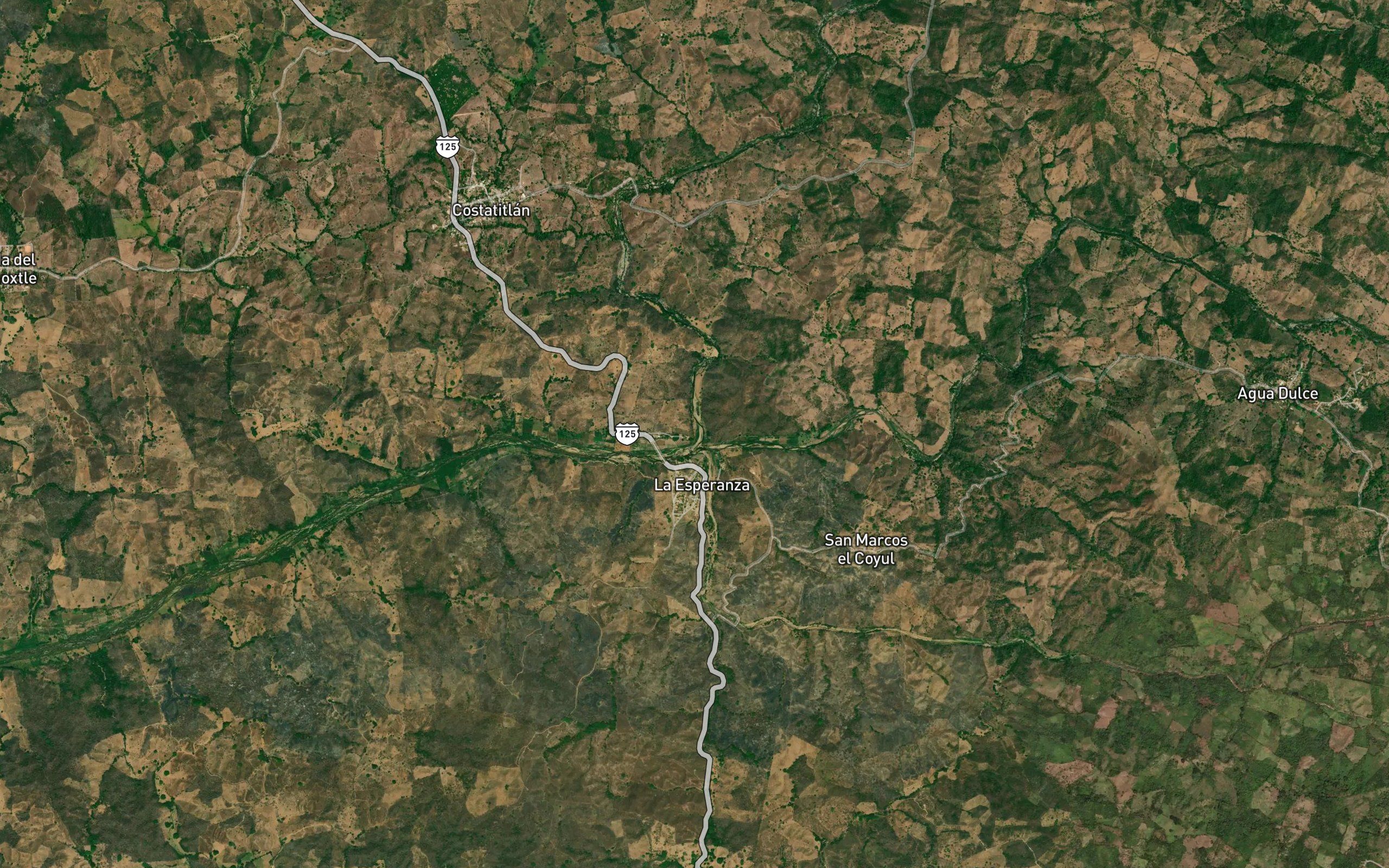 Lagartero