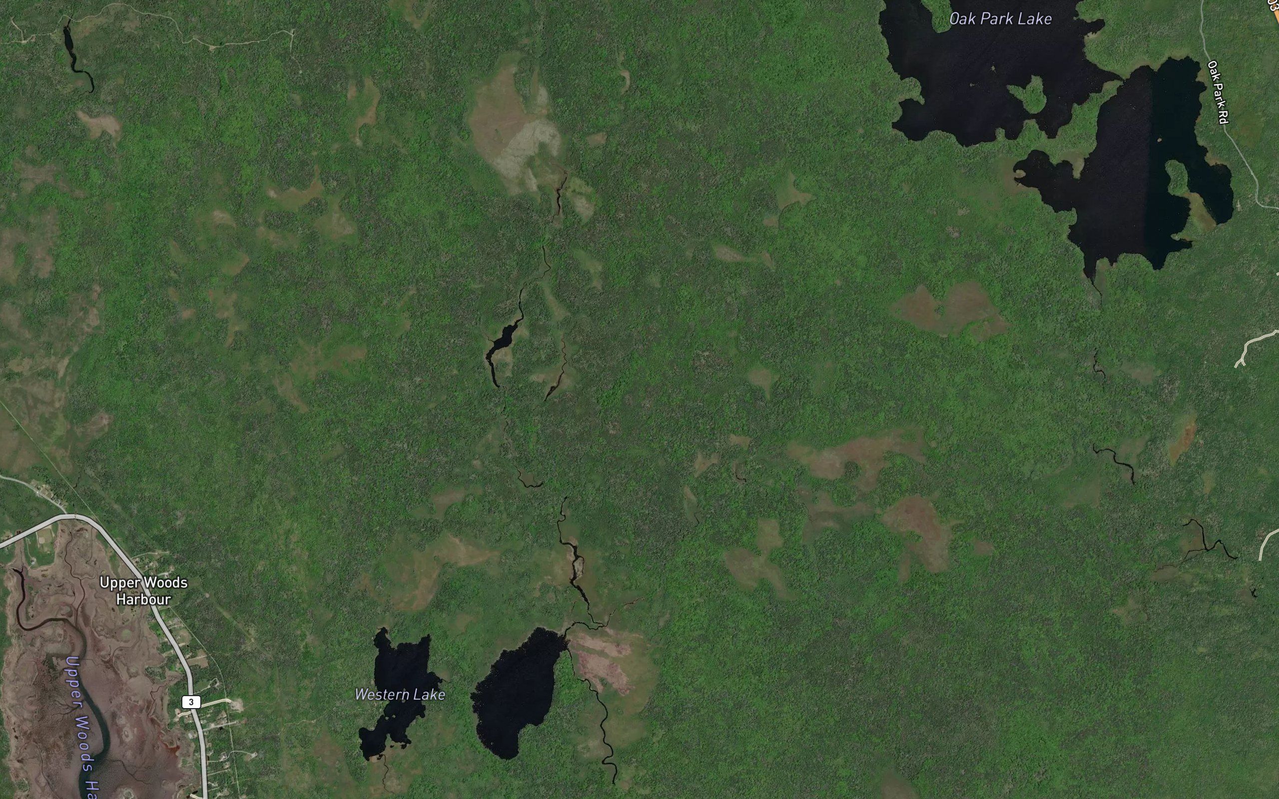 Duck Ponds