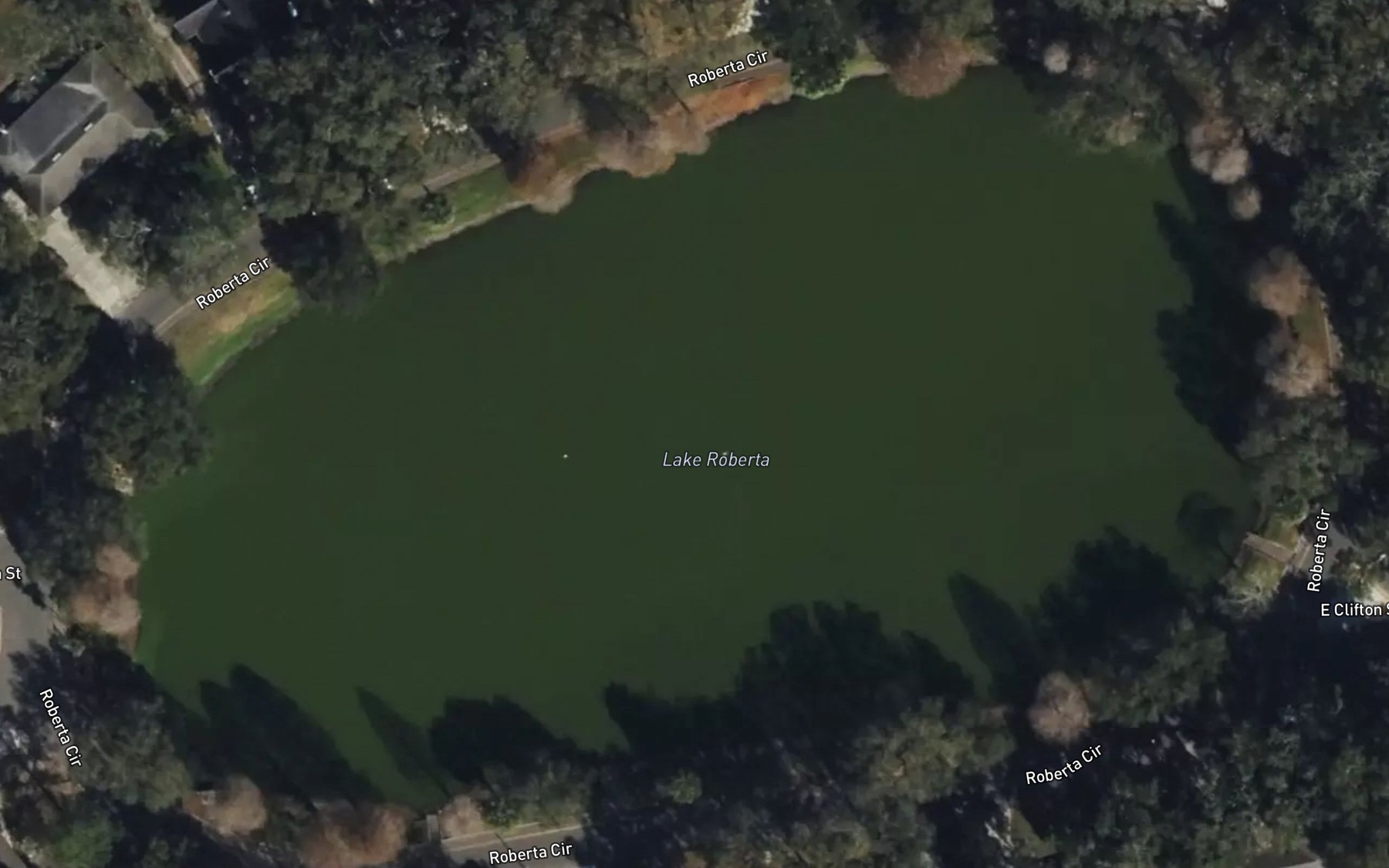 Satellite map of the Lake Roberta