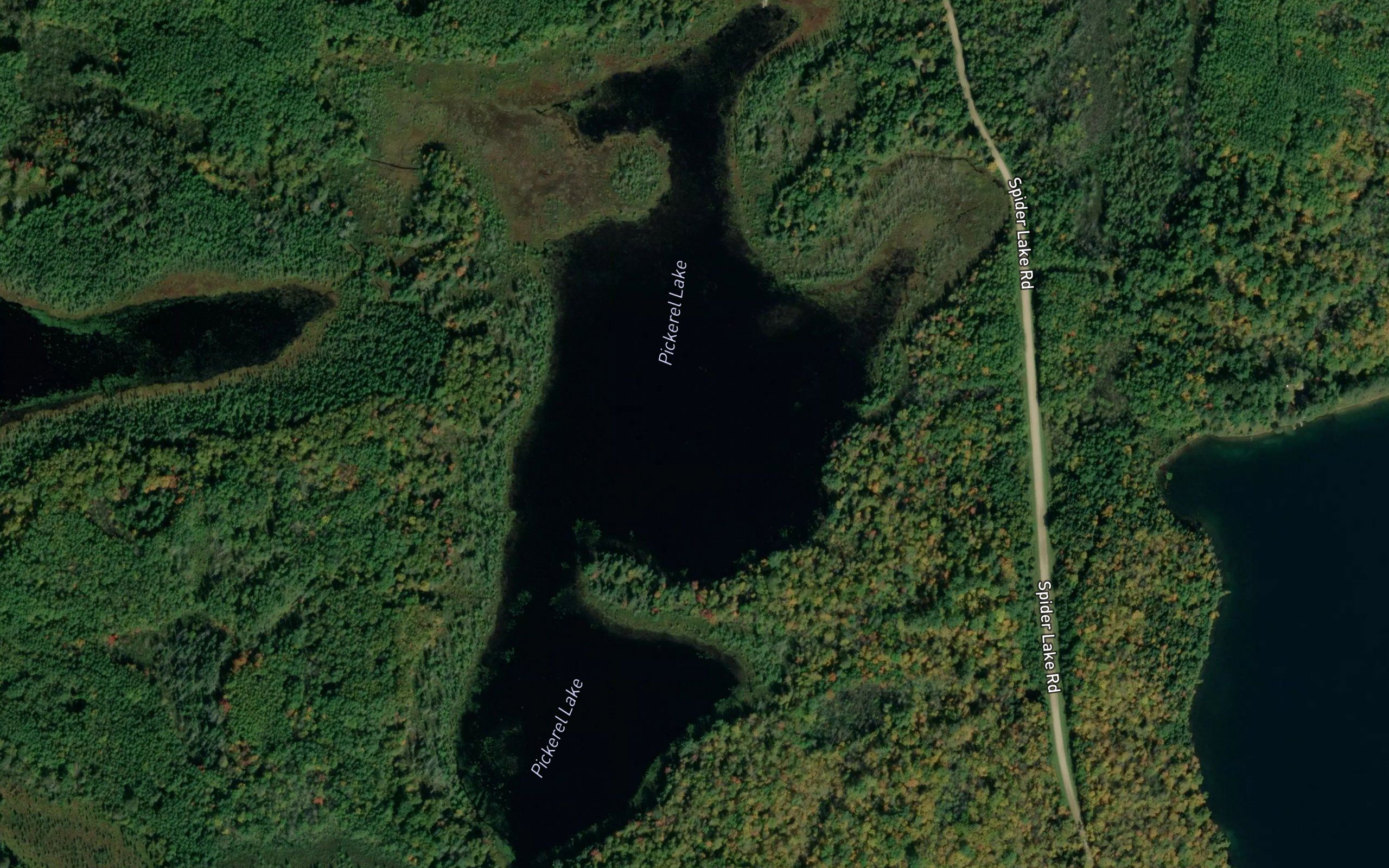 Pickerel Lake