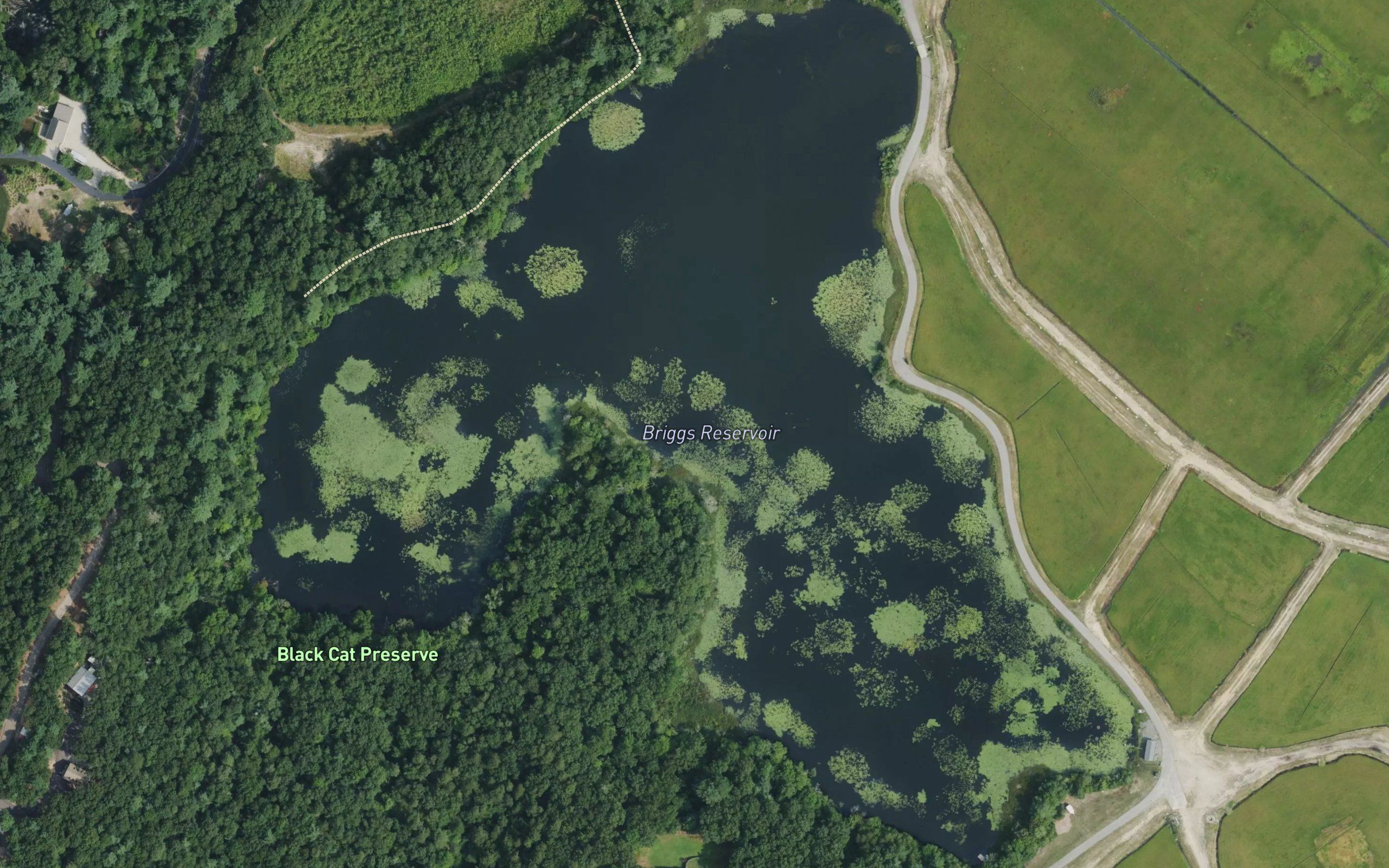 Briggs Reservoir