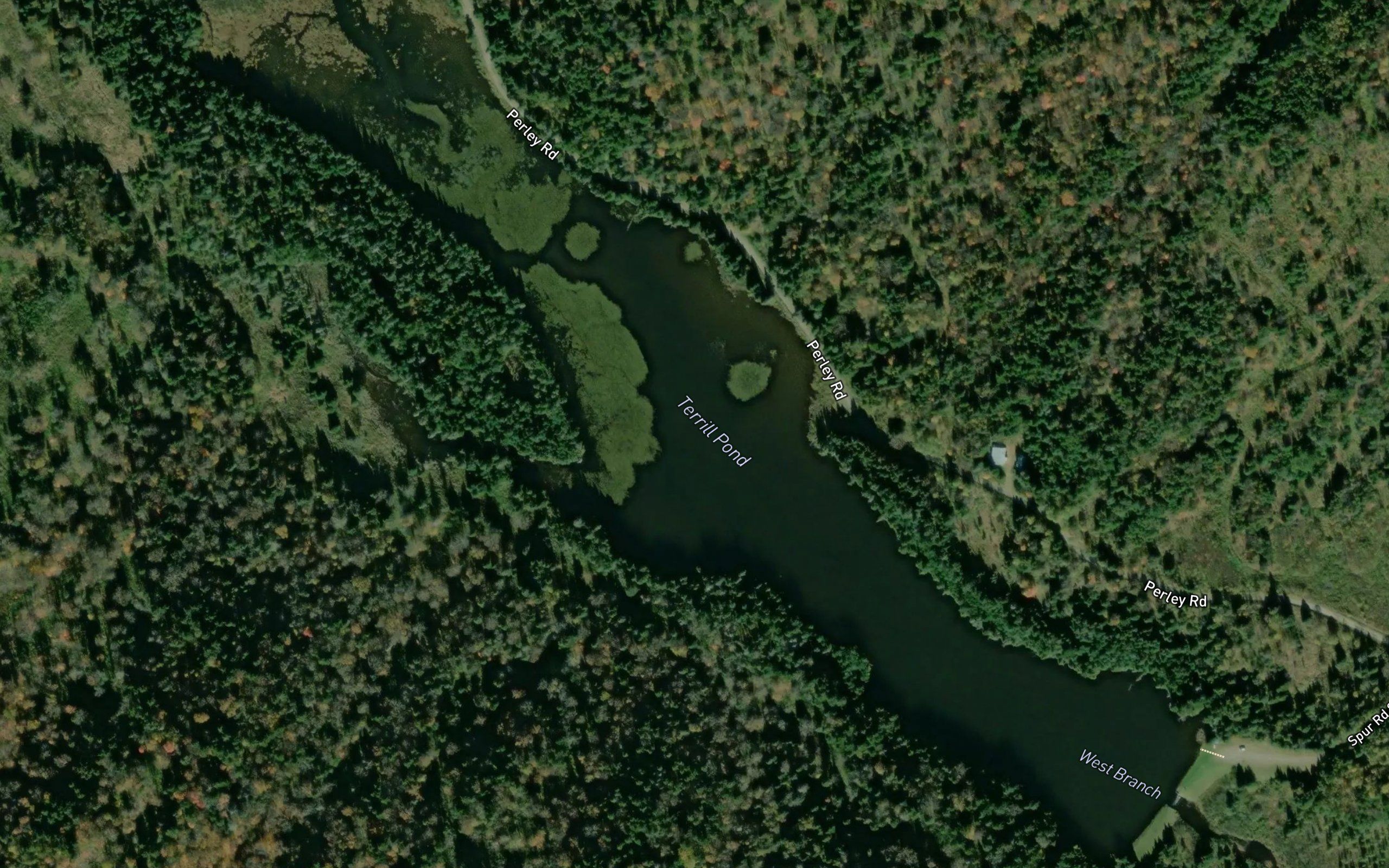 Terrell Pond