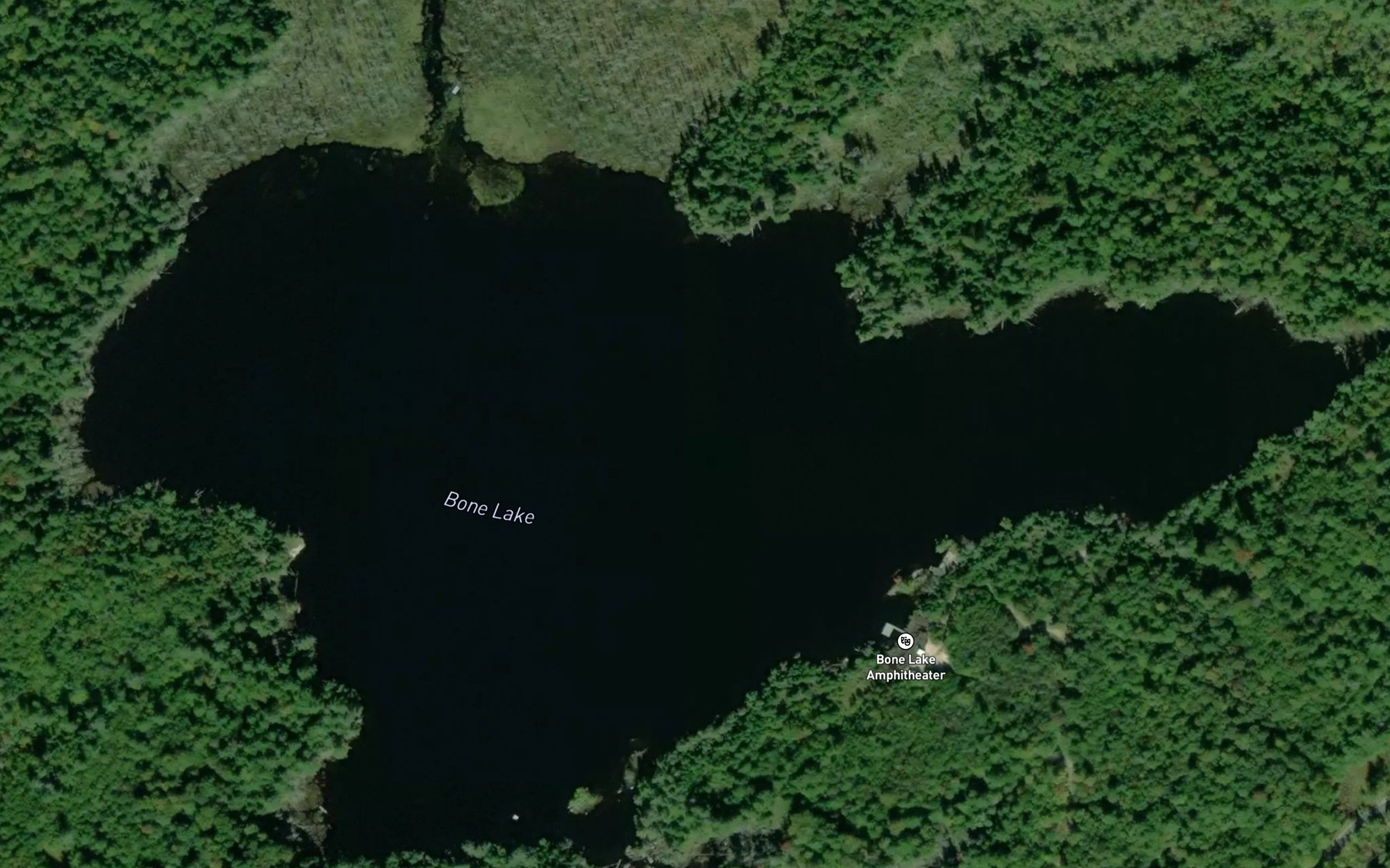 Satellite map of the Bone Lake