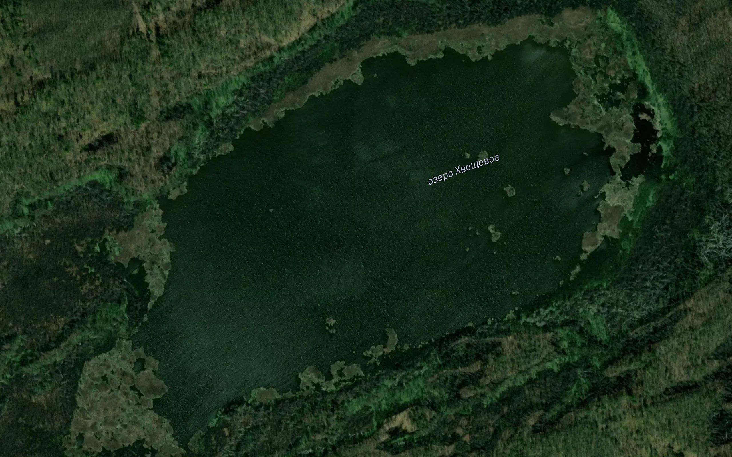 Ozero Khvoshchevoye