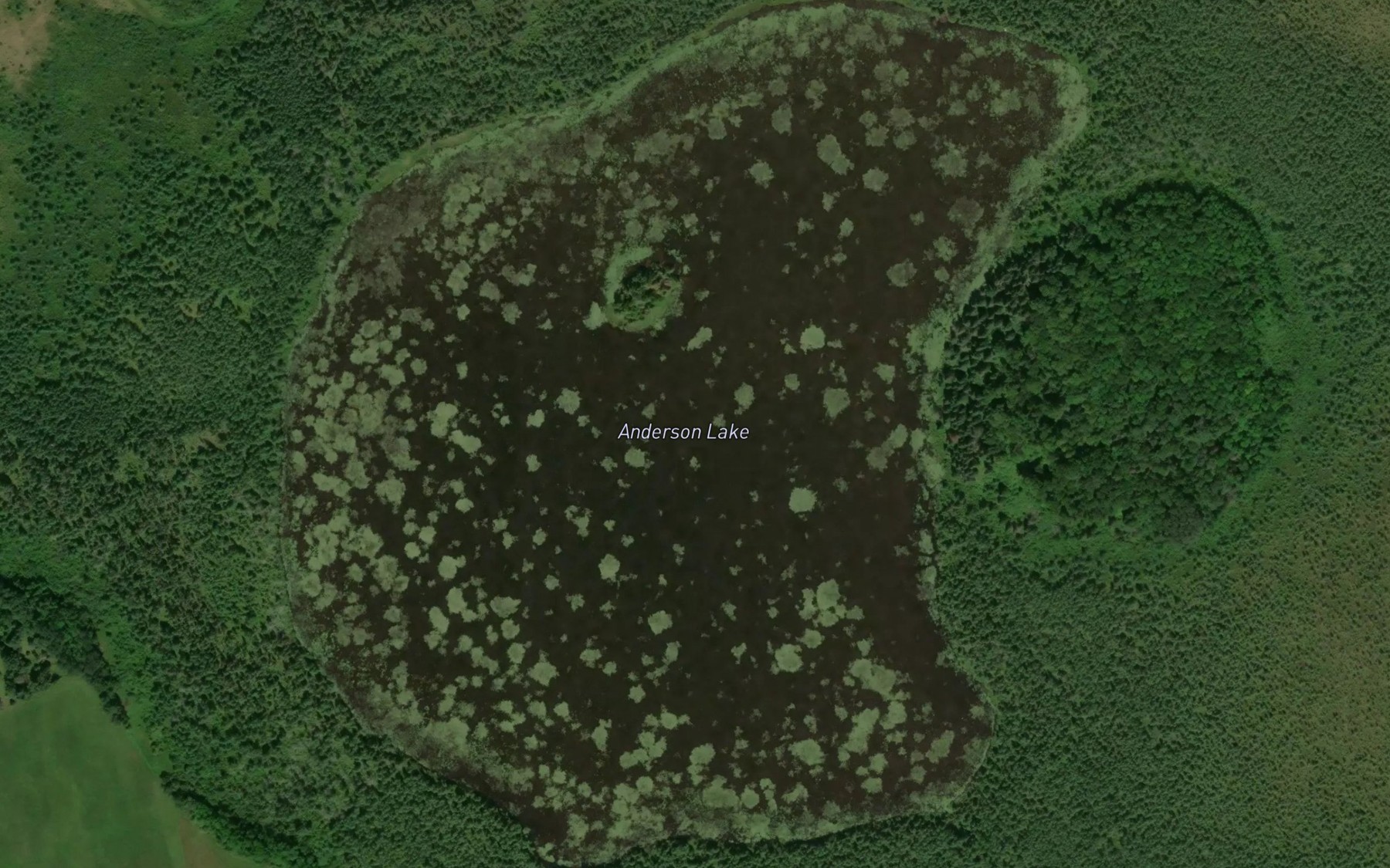 Satellite map of the Anderson Lake