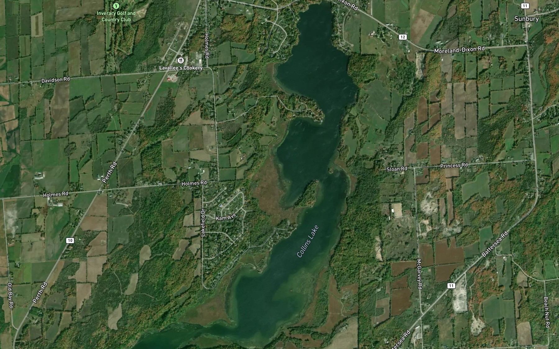 Satellite map of the Collins Lake