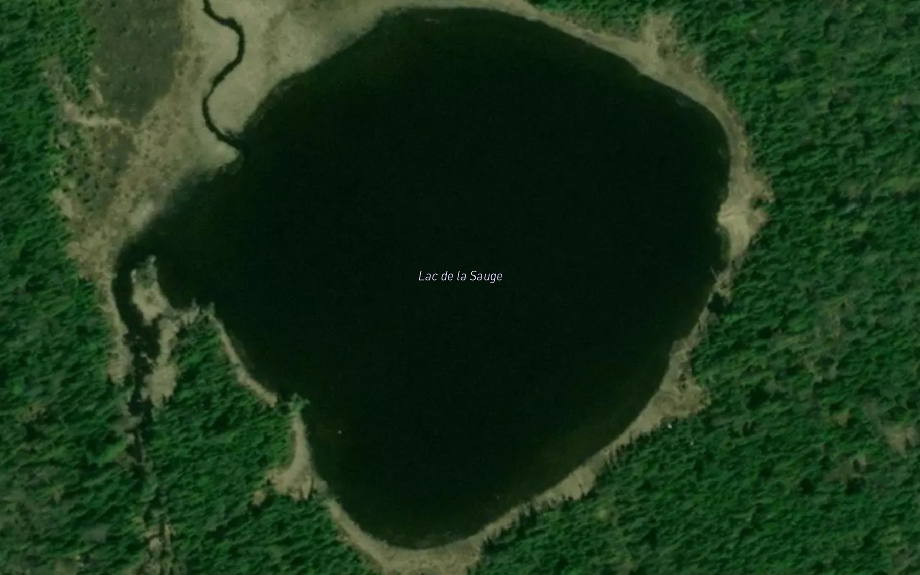 Satellite map of the Lac de la Sauge
