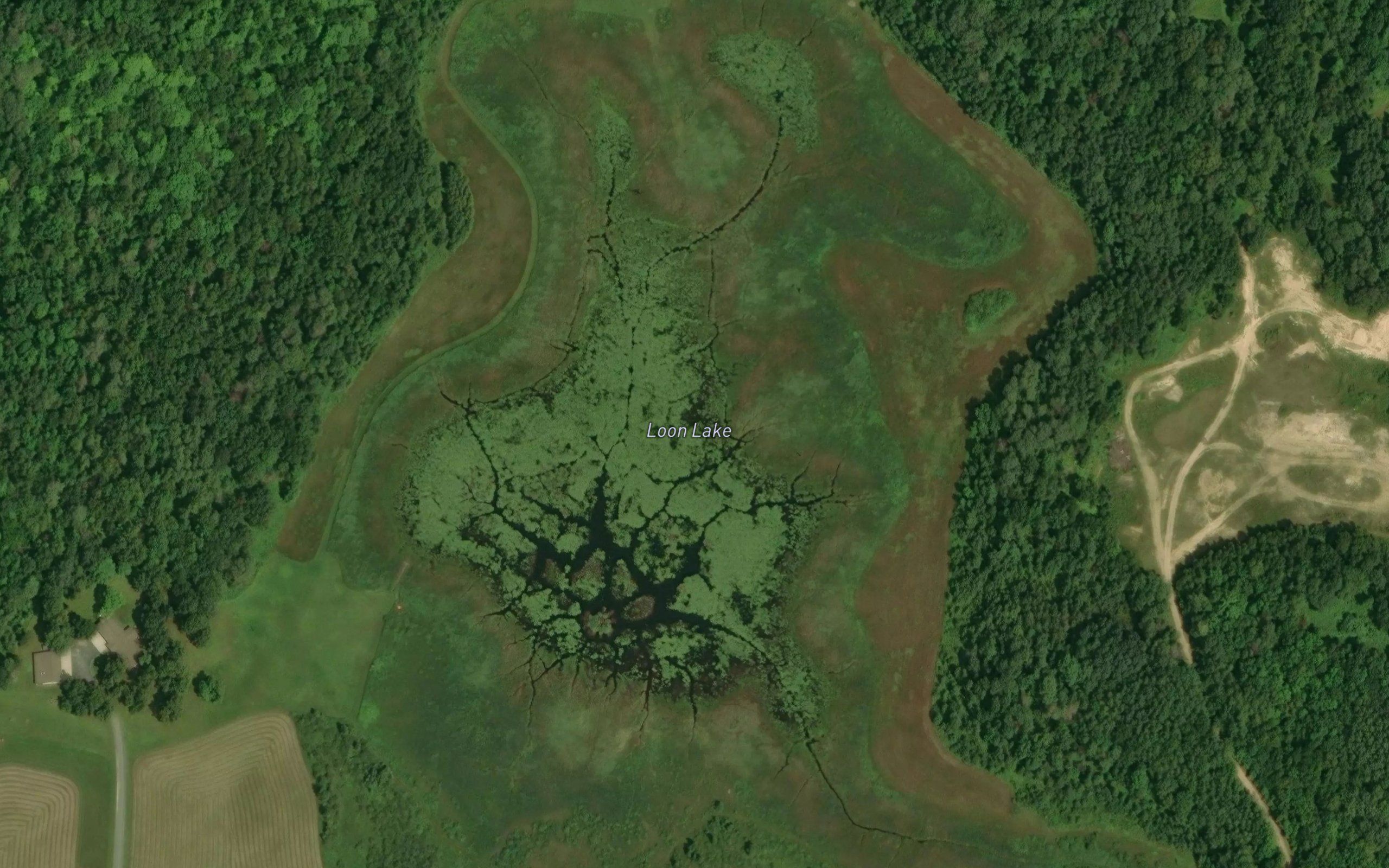 Loon Lake