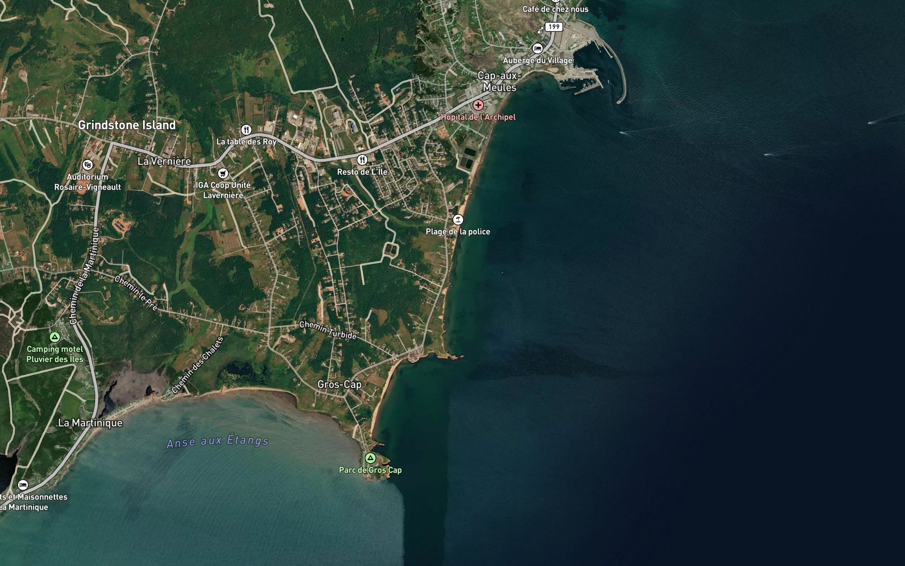 Satellite map of the Anse a Theofred