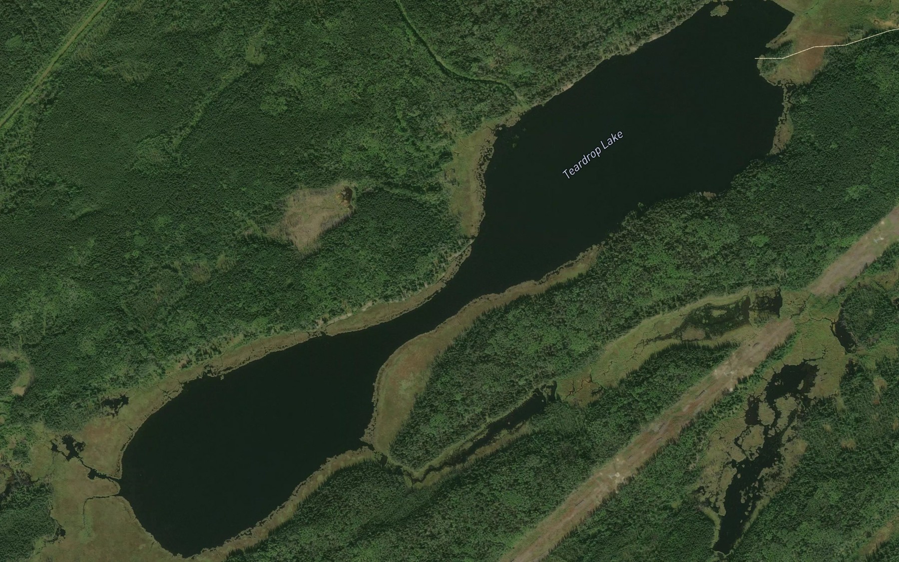 Satellite map of the Teardrop Lake
