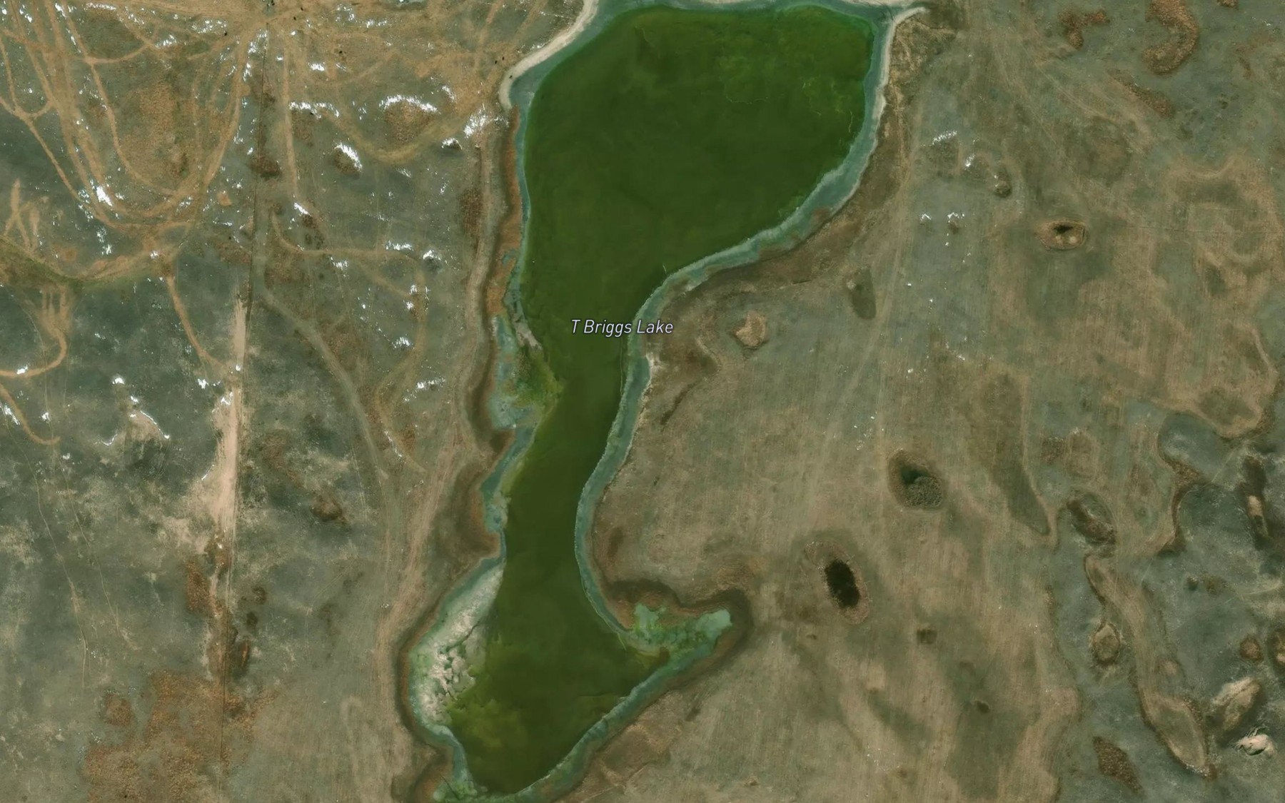 Satellite map of the T Briggs Lake