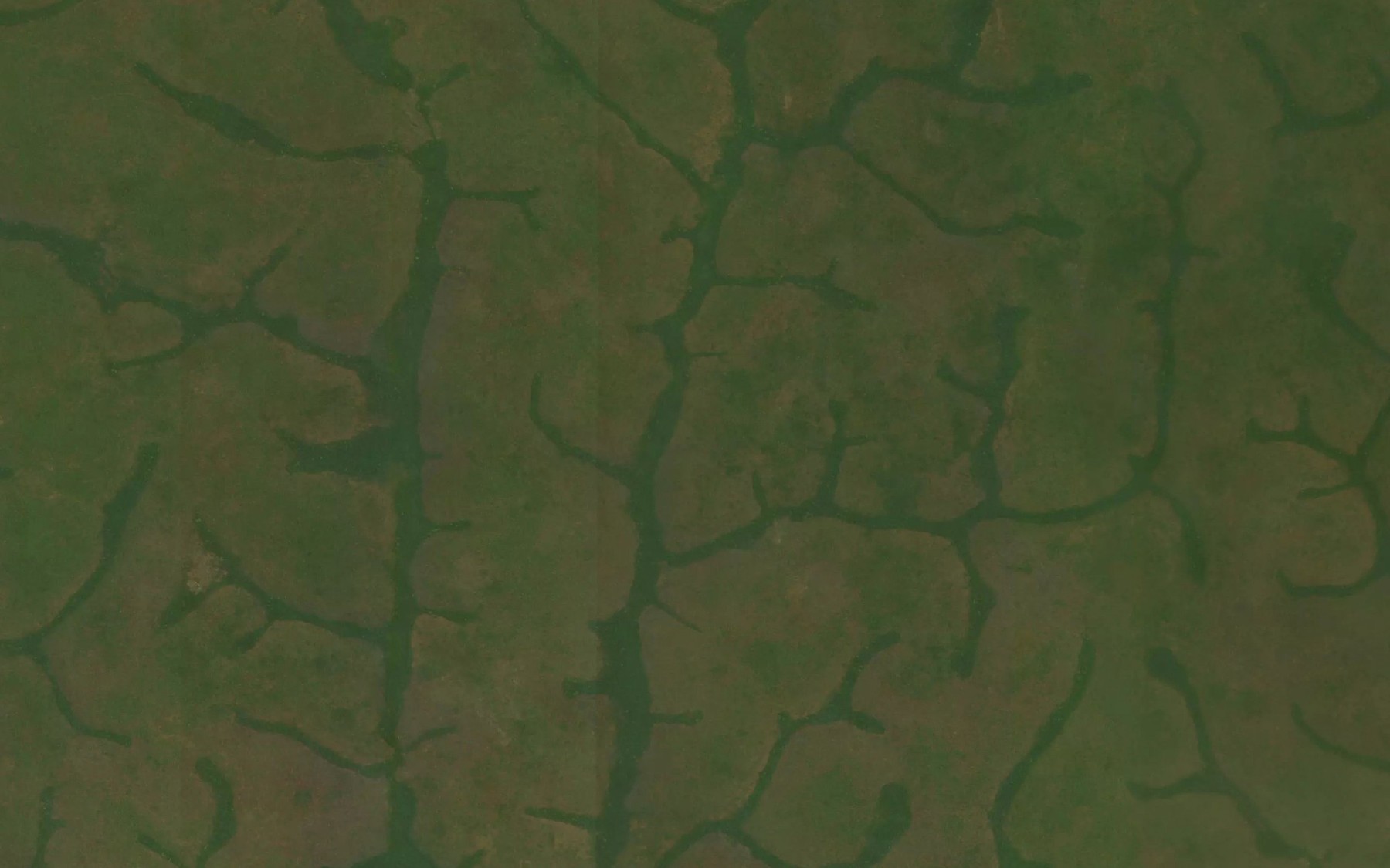 Satellite map of the Yabondo