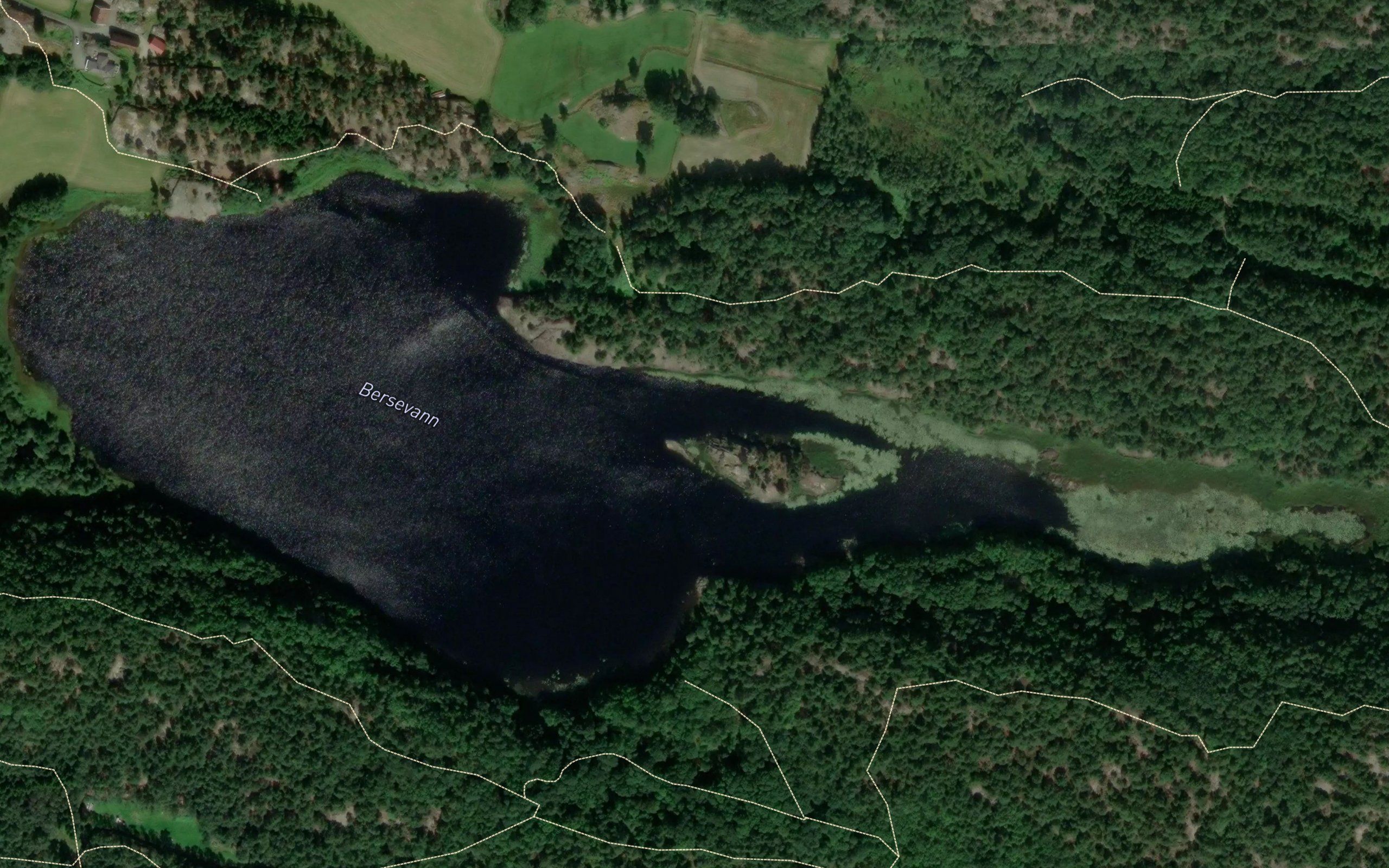 Bersvannet