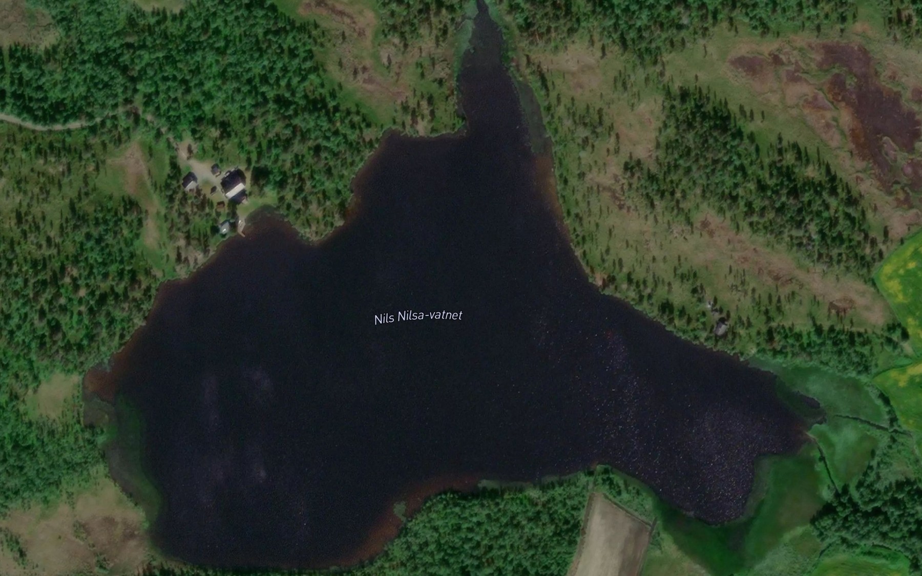Satellite map of the Nils-Nilsavatnet