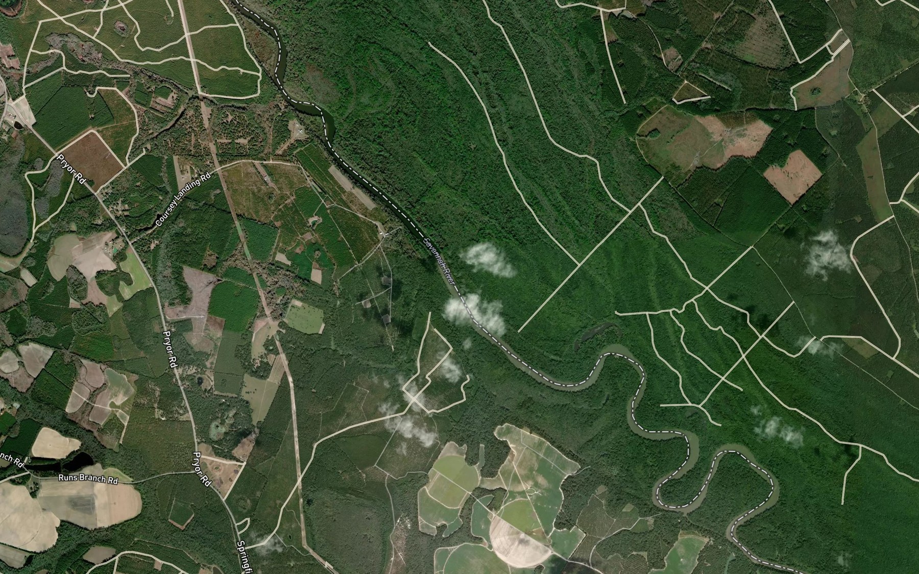 Satellite map of the Rooty Branch