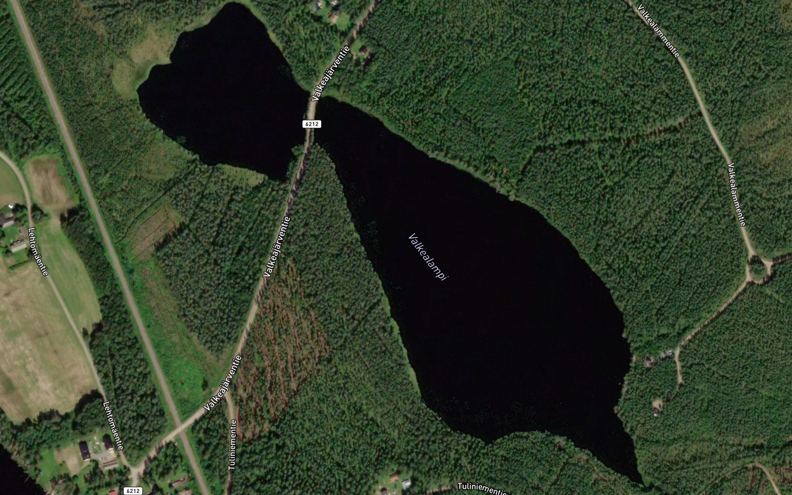 Valkealampi