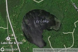 Lily Lake