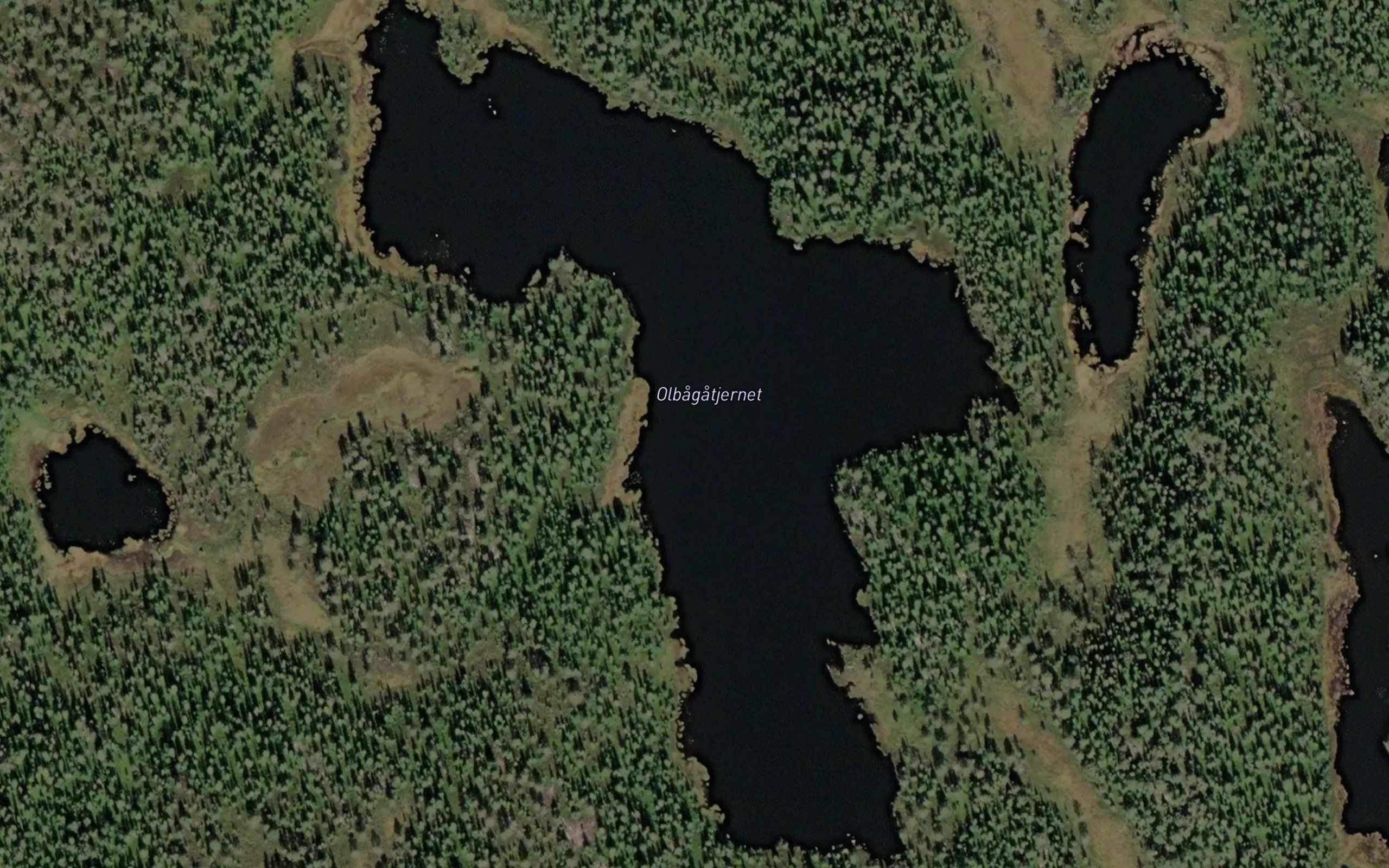 Olbagatjernet