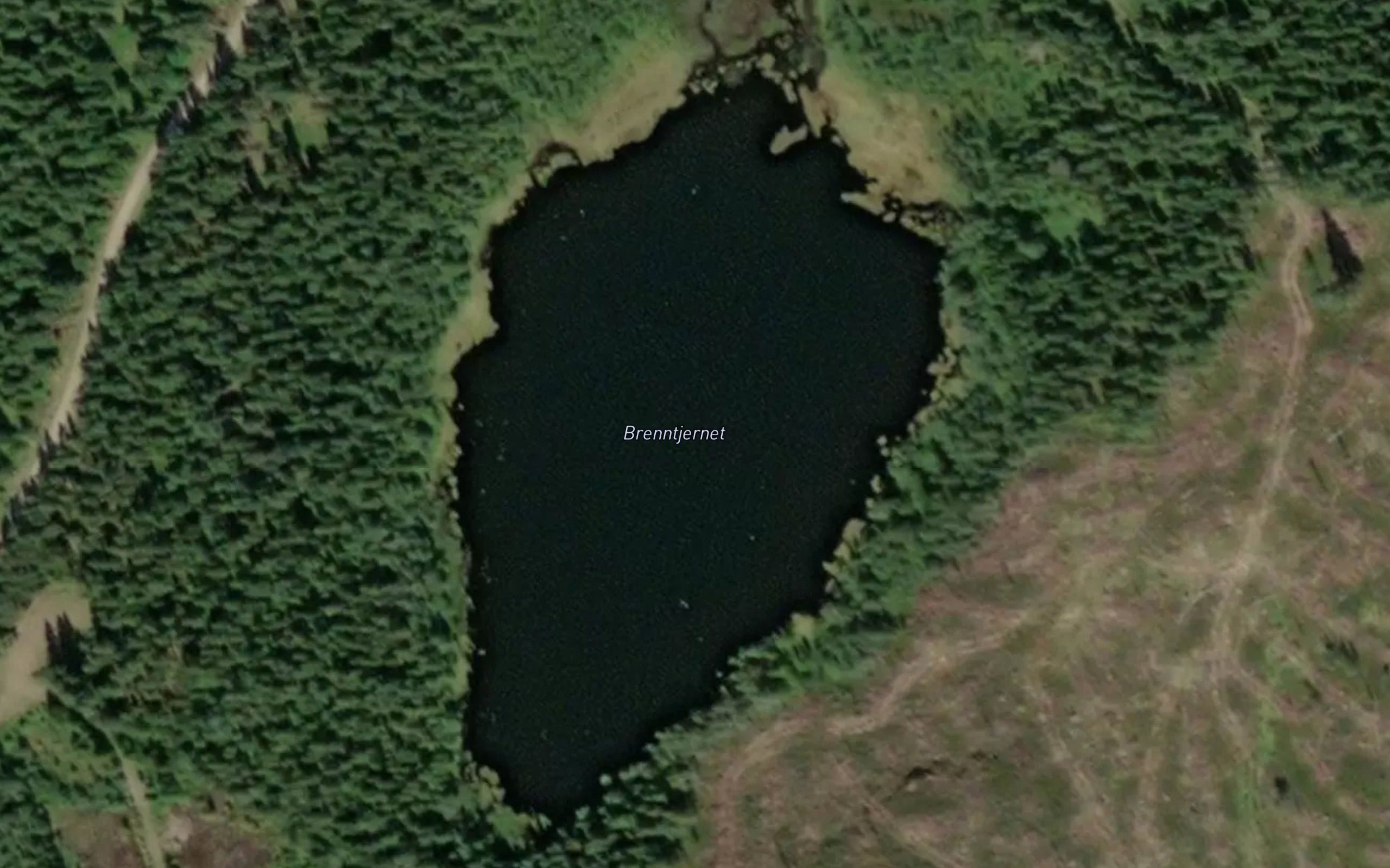 Brenntjernet
